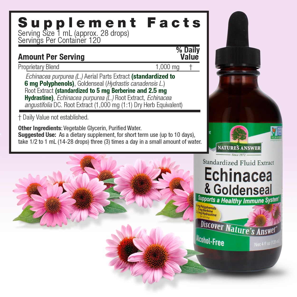 Foto 4 pulgar | Suplemento Nature's Answer de Equinácea 120 Ml - Venta Internacional
