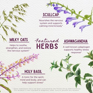 Foto 4 | Suplemento Wishgarden Herbs Deep Stress Con Ashwagandha, 60 Ml - Venta Internacional.