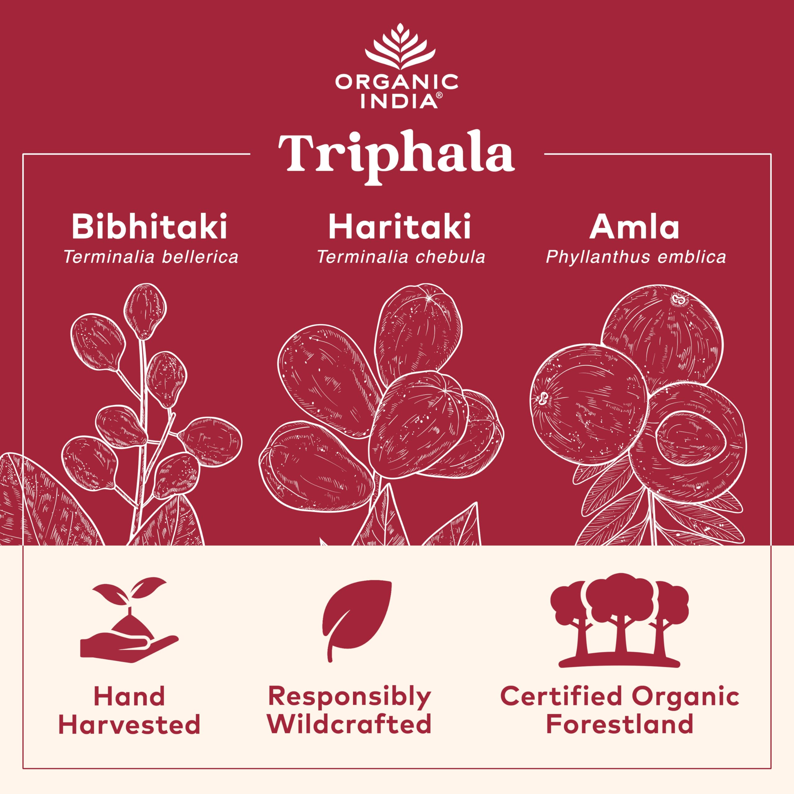 Foto 2 | Suplemento Organic India Triphala Herbal Digestion Support 454 G - Venta Internacional.