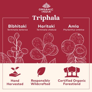 Foto 2 | Suplemento Organic India Triphala Herbal Digestion Support 454 G - Venta Internacional.