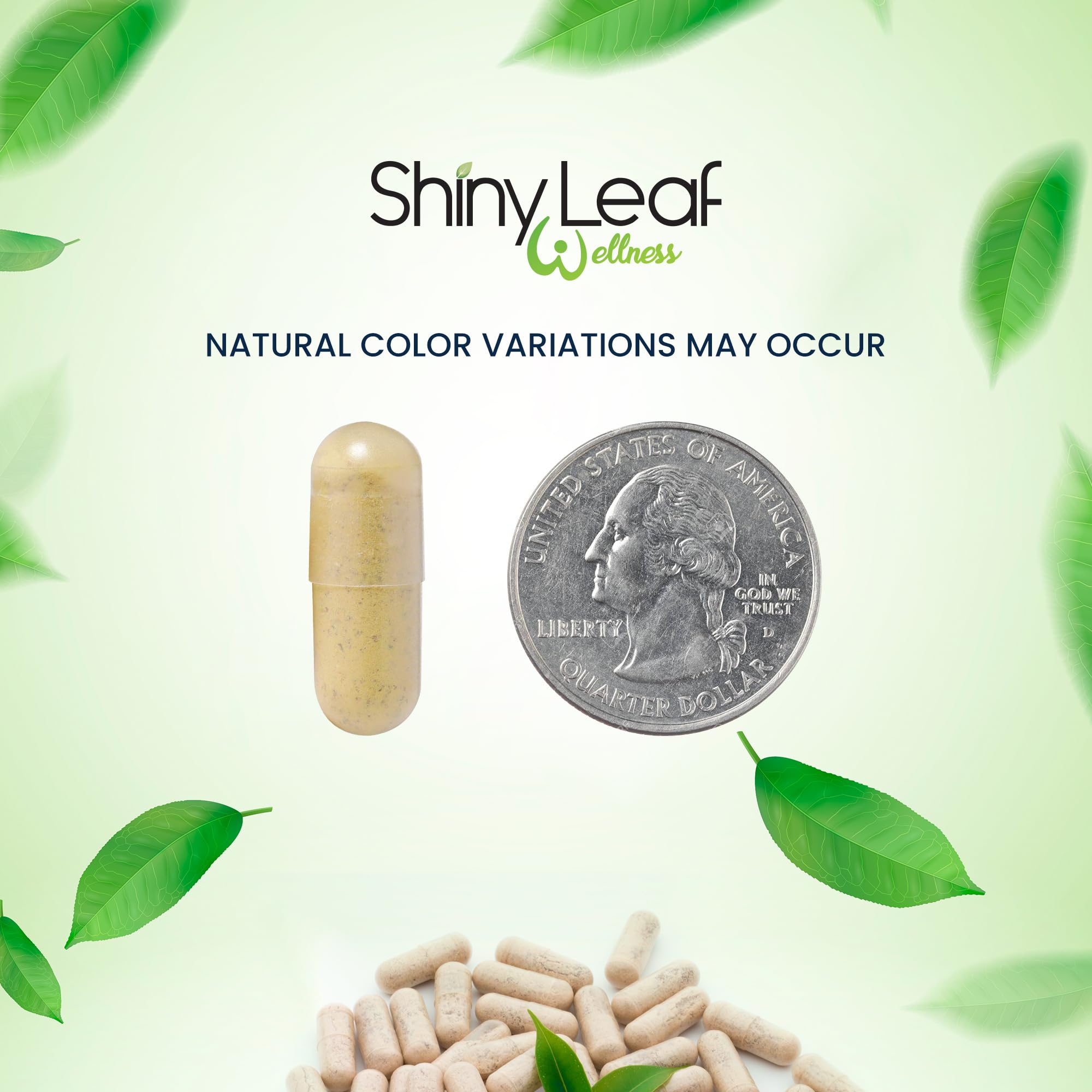 Foto 8 pulgar | Multivitamínico Bariátrico Shiny Leaf Daily 30 Cápsulas Con Hierro - Venta Internacional.