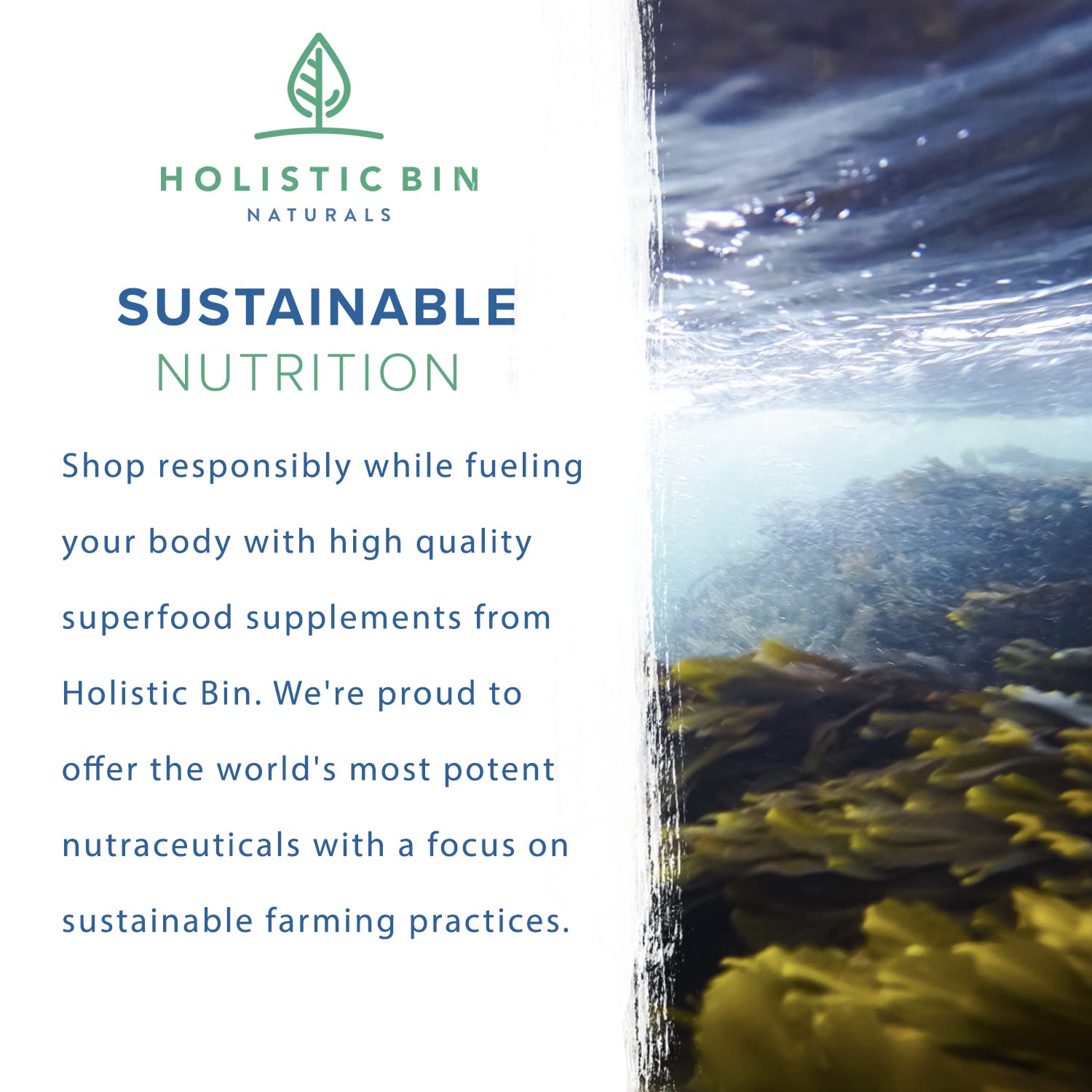 Foto 6 | Cápsulas De Fitoplancton Marino Holistic Bin Vegan Omega 3 - Venta Internacional.