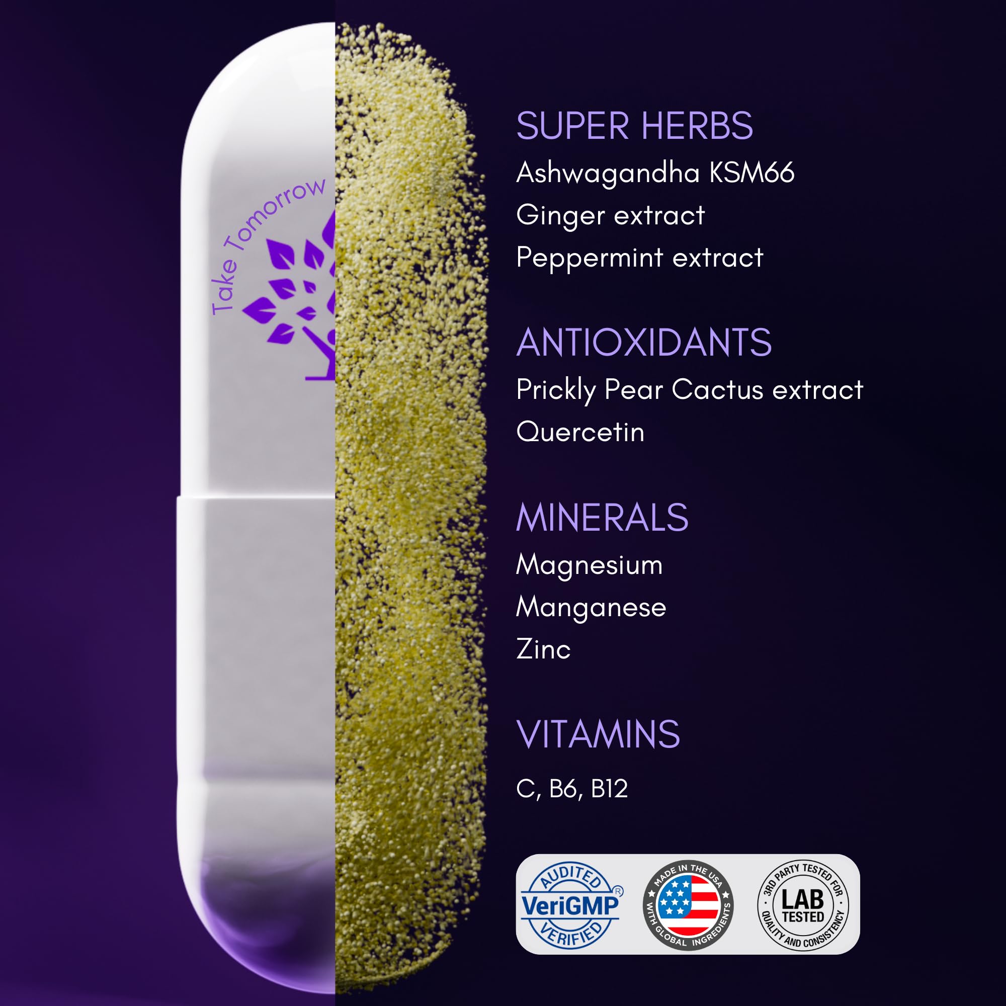 Foto 4 pulgar | Suplemento Purple Tree Next Day Replenish 30 Píldoras - Venta Internacional.