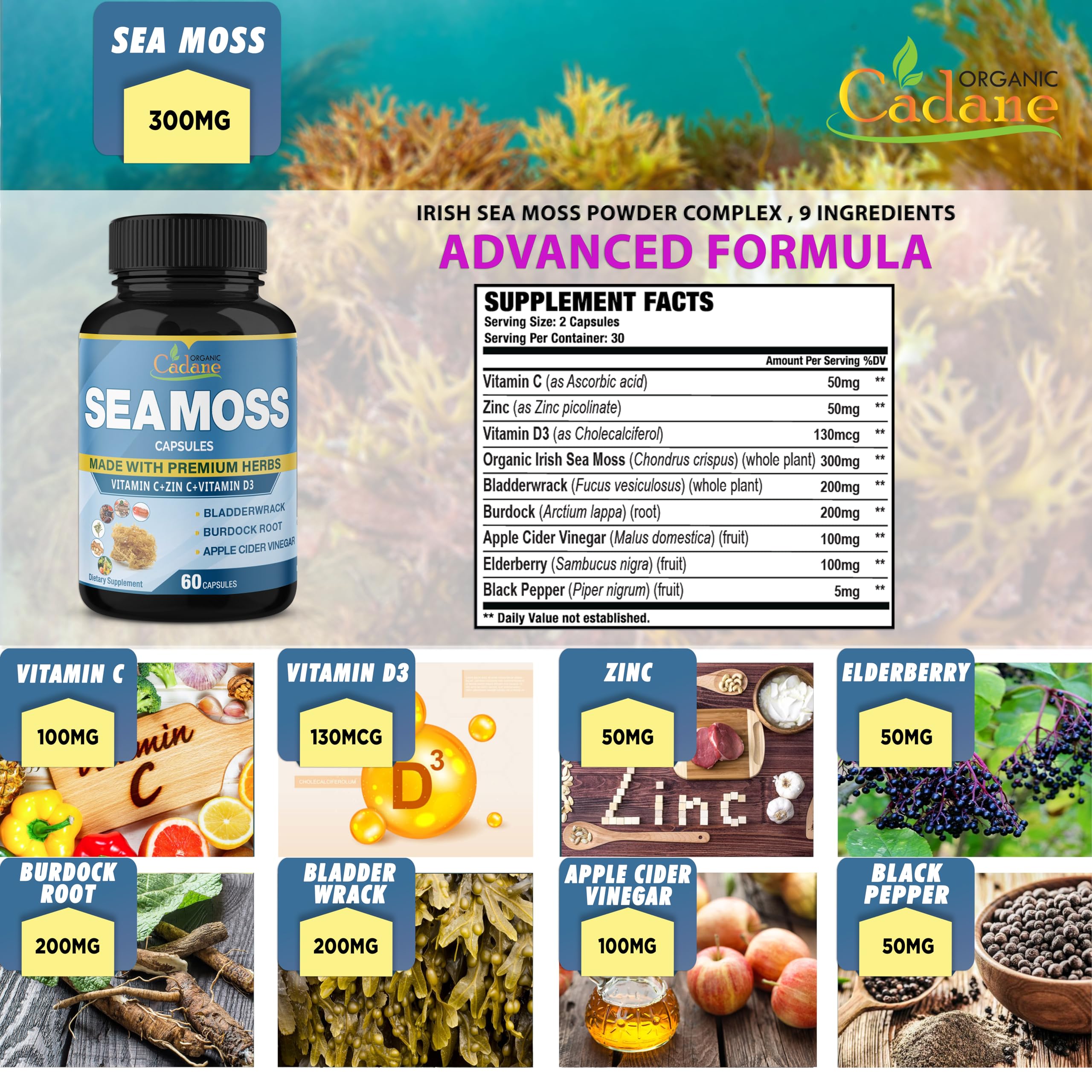 Foto 2 | Suplemento Orgánico Cadane Irish Sea Moss En Cápsulas X120 - Venta Internacional.