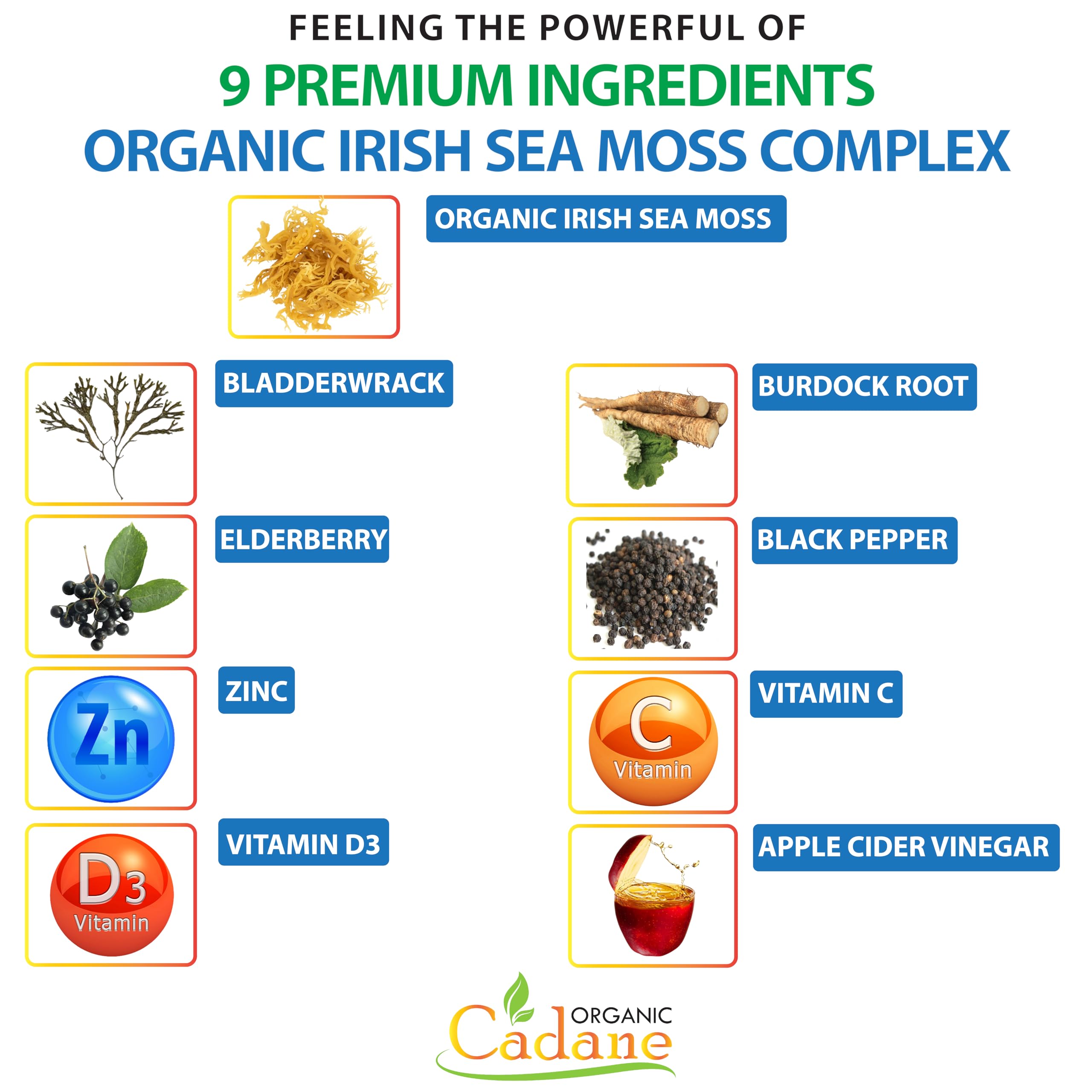 Foto 3 | Suplemento Orgánico Cadane Irish Sea Moss En Cápsulas X120 - Venta Internacional.