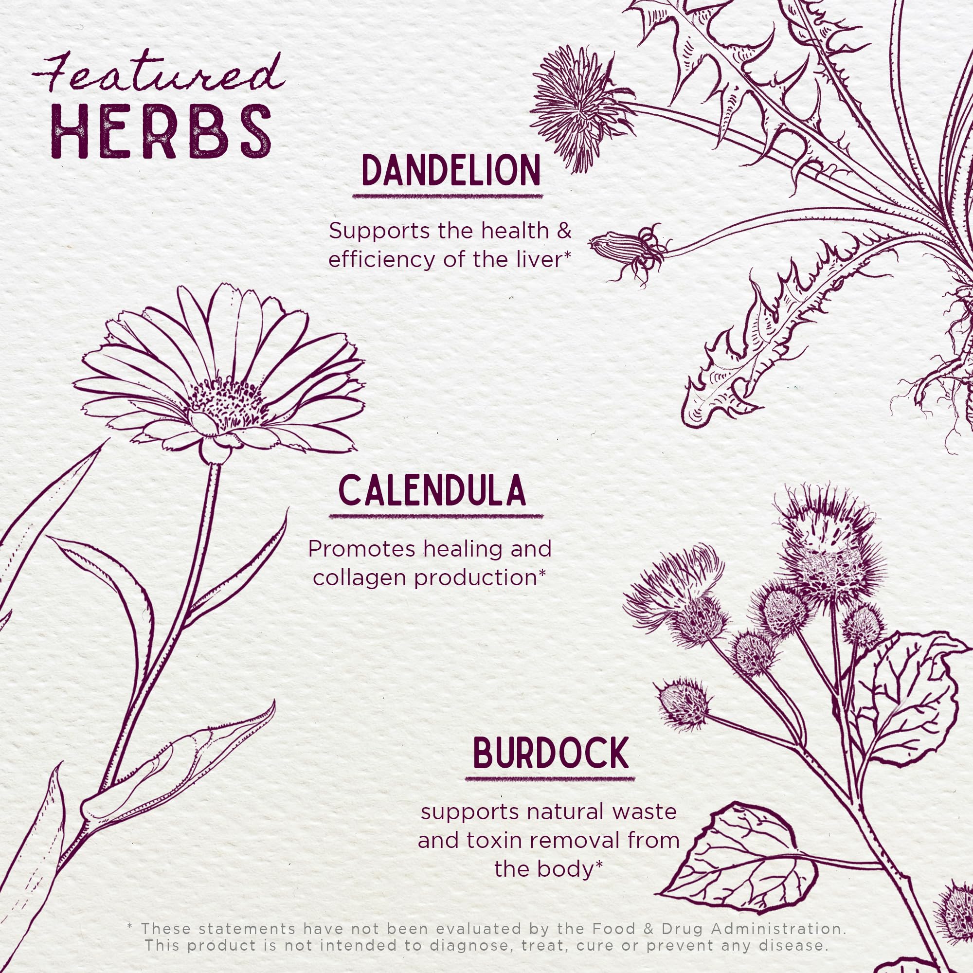 Foto 5 pulgar | Suplemento Para El Acné Wishgarden Herbs Clear Complexion 60 Ml - Venta Internacional.