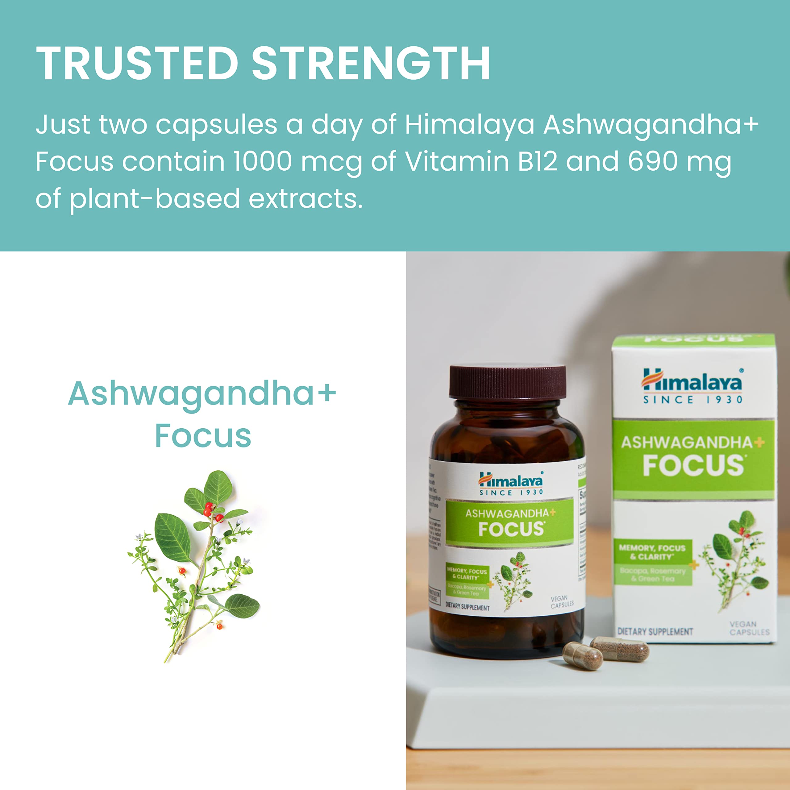 Foto 7 pulgar | Suplemento Himalaya Ashwagandha+ Focus Memory 60 Cápsulas - Venta Internacional.