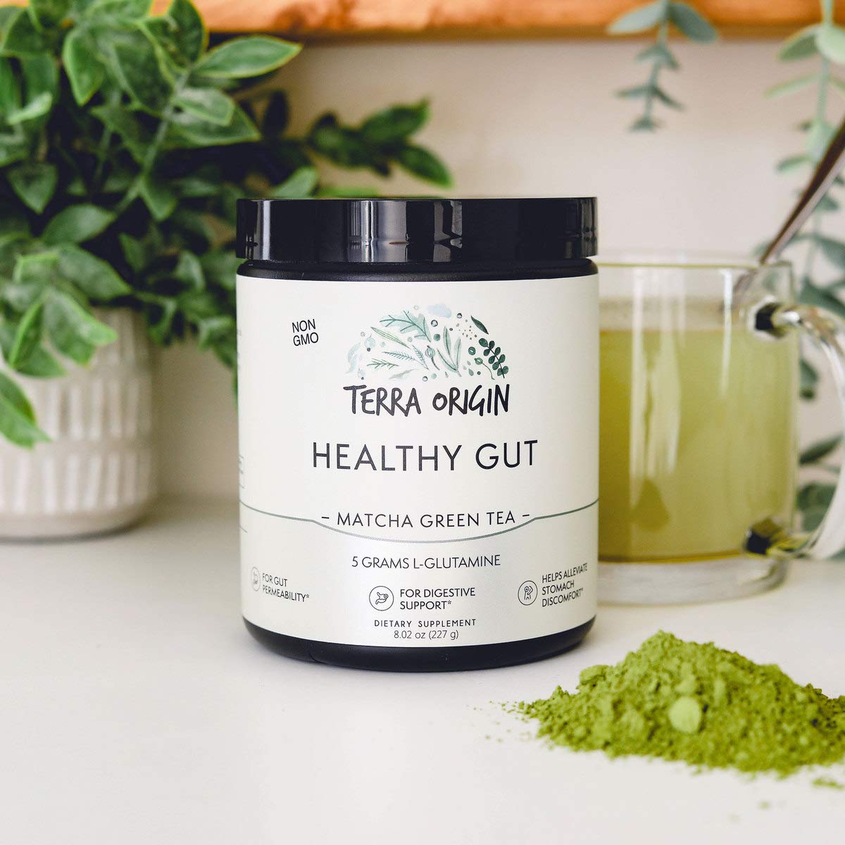 Foto 6 pulgar | Suplemento Terra Origin Healthy Gut Matcha Green Tea 30 Raciones - Venta Internacional.