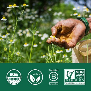 Foto 6 | Suplemento Organic India Trikatu Favorece La Digestión 90 Cápsulas - Venta Internacional.