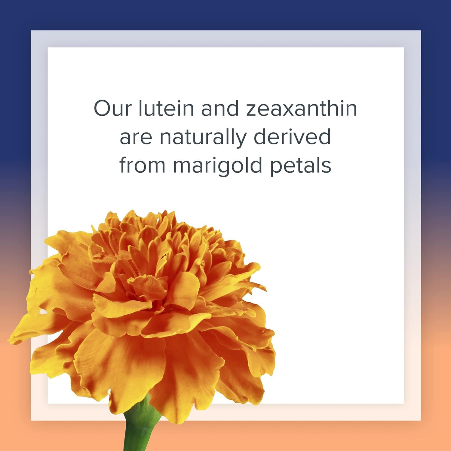 Foto 6 | Suplemento Natural De Luteína De 40 Mg Con 60 Cápsulas Blandas De Zeaxantina - Venta Internacional.