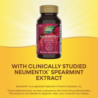 Foto 4 | Suplemento Nature's Way Sustained Focus 60 Cápsulas - Venta Internacional.