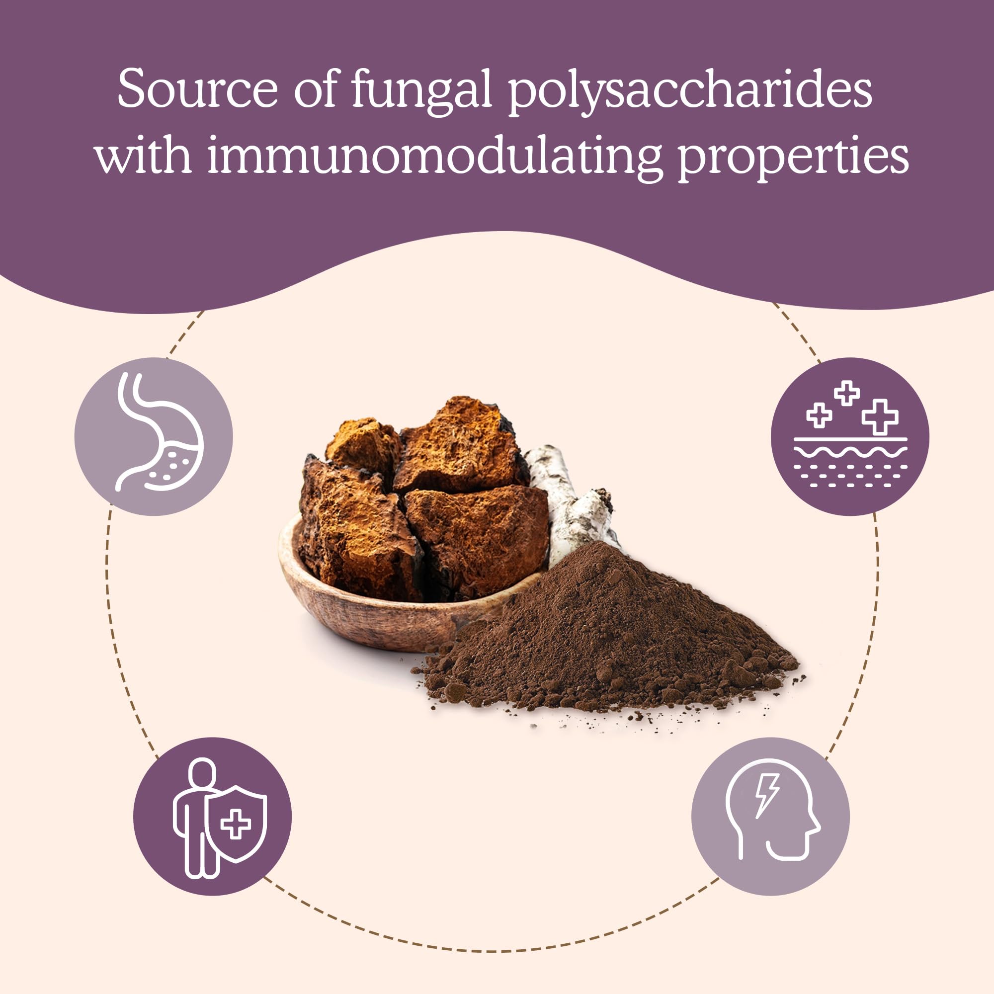 Foto 3 pulgar | Suplemento De Hongos En Polvo De Chaga Con Hongos Reales, 150 Porciones - Venta Internacional.