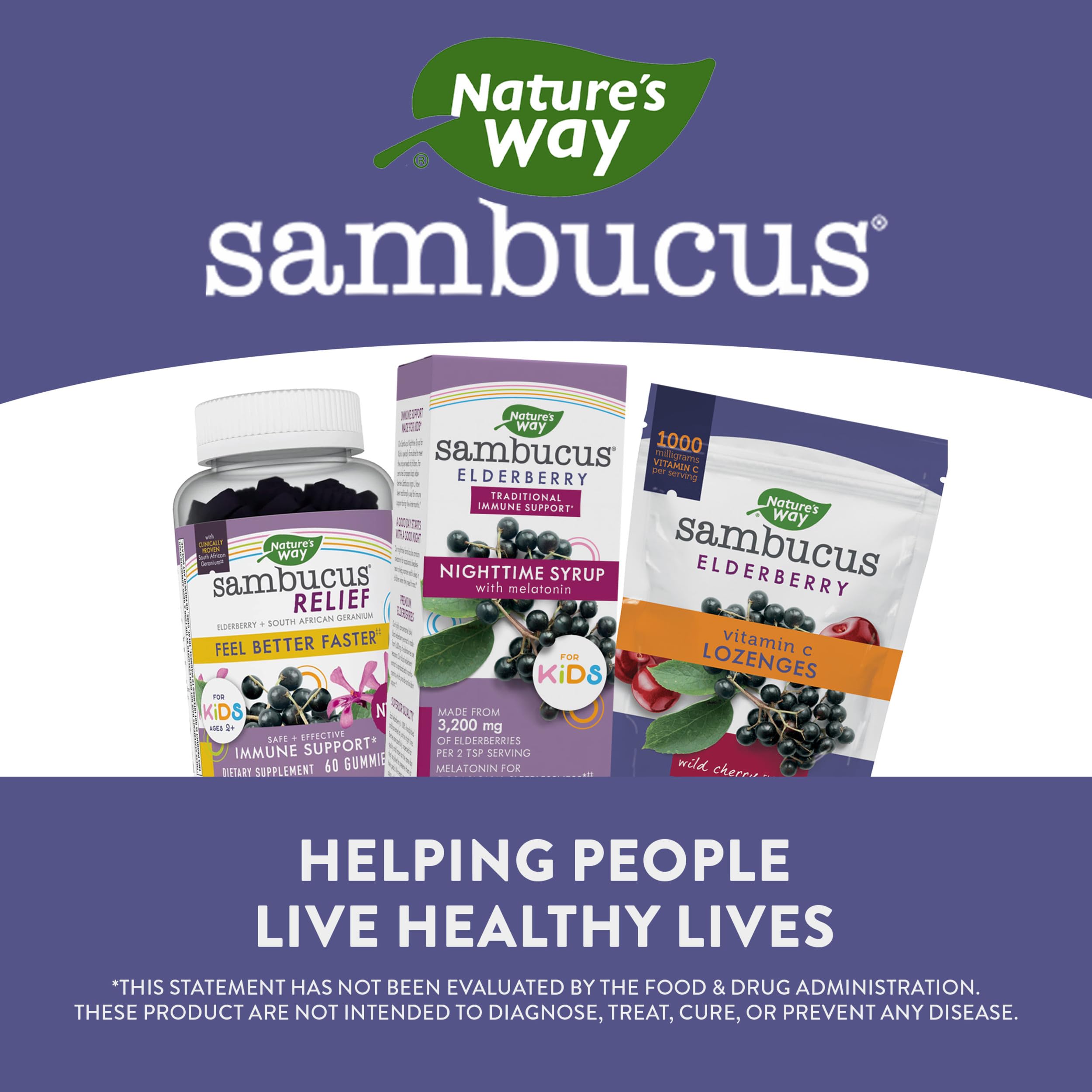 Foto 6 pulgar | Sirope Nature's Way Sambucus Saúco Nature's Way Para La Noche Con Melatonina, 120 Ml - Venta Internacional.