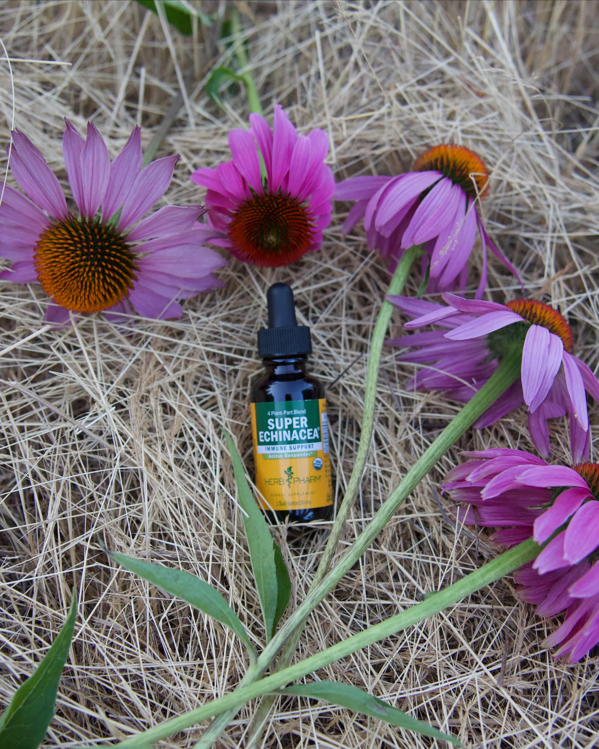 Foto 8 pulgar | Extracto Líquido Herb Pharm Super Echinacea 30 Ml Dsuper01 - Venta Internacional.