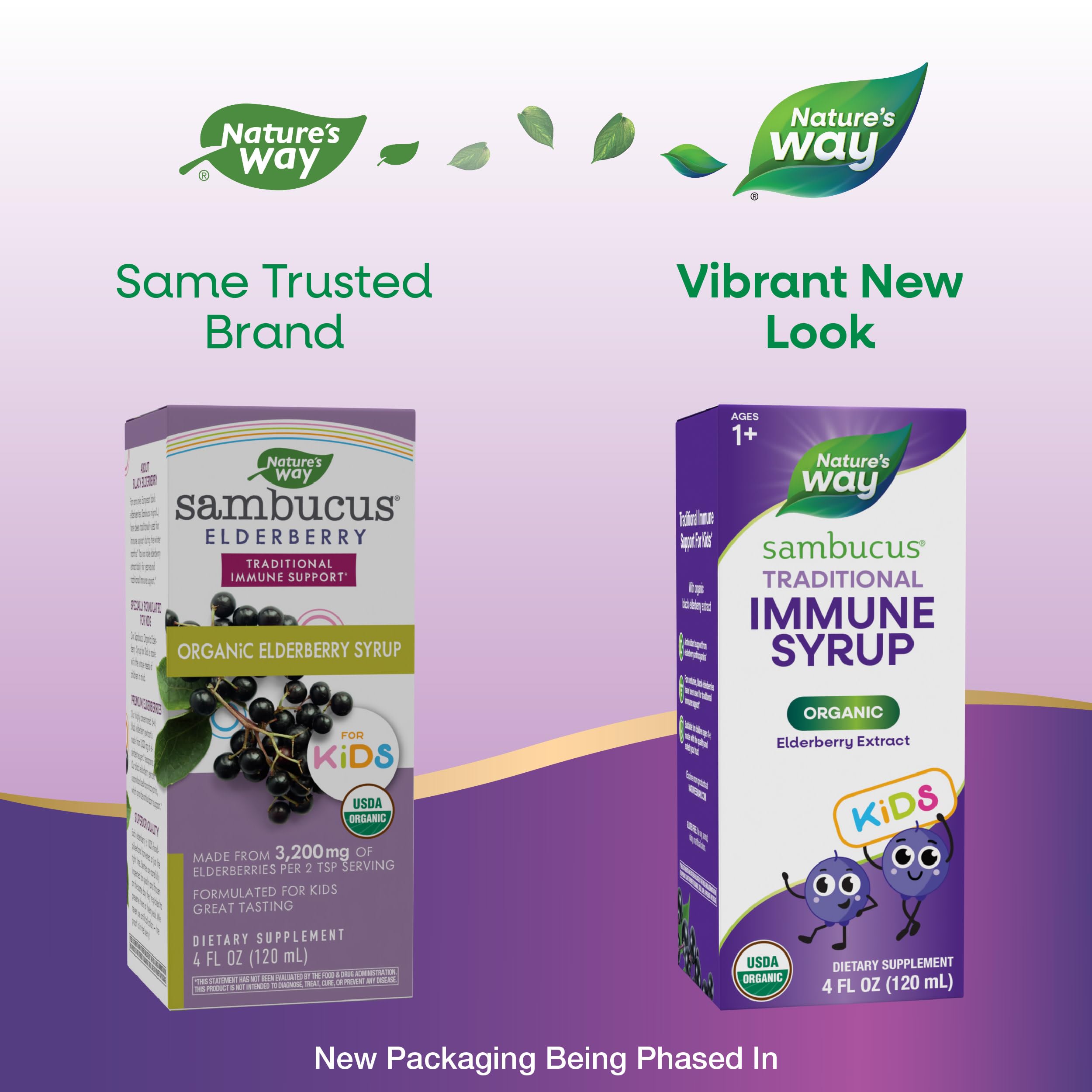 Foto 3 pulgar | Sirope Nature's Way Sambucus Saúco Tradicional Inmune 120 Ml - Venta Internacional.