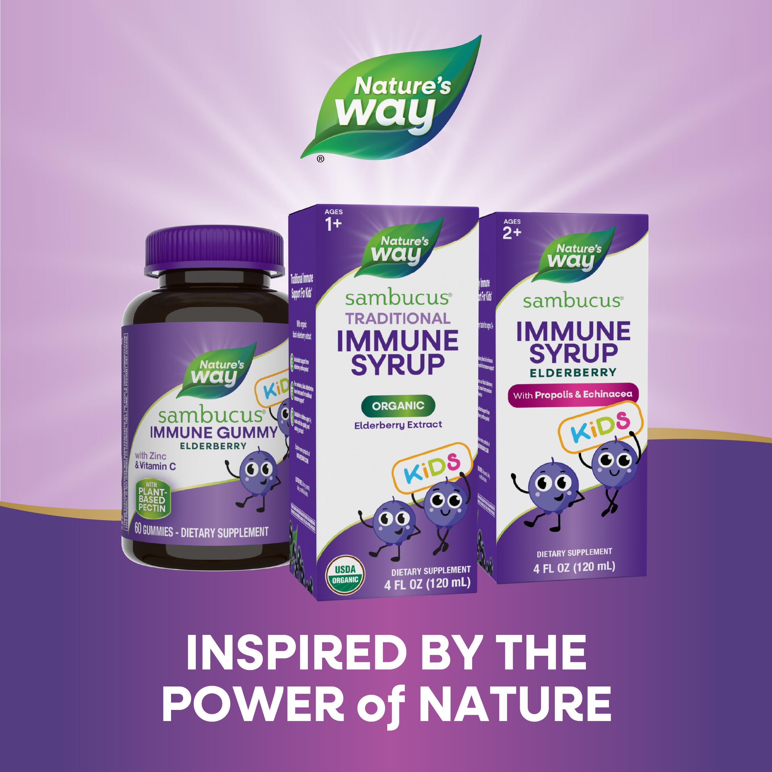 Foto 8 pulgar | Sirope Nature's Way Sambucus Saúco Tradicional Inmune 120 Ml - Venta Internacional.