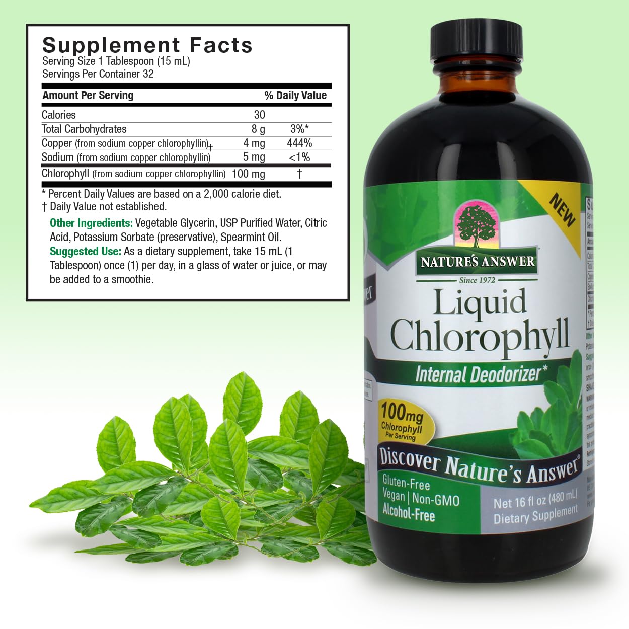 Foto 4 pulgar | Clorofila Líquida Nature's Answer, Hierbabuena, 473 Ml - Venta Internacional.