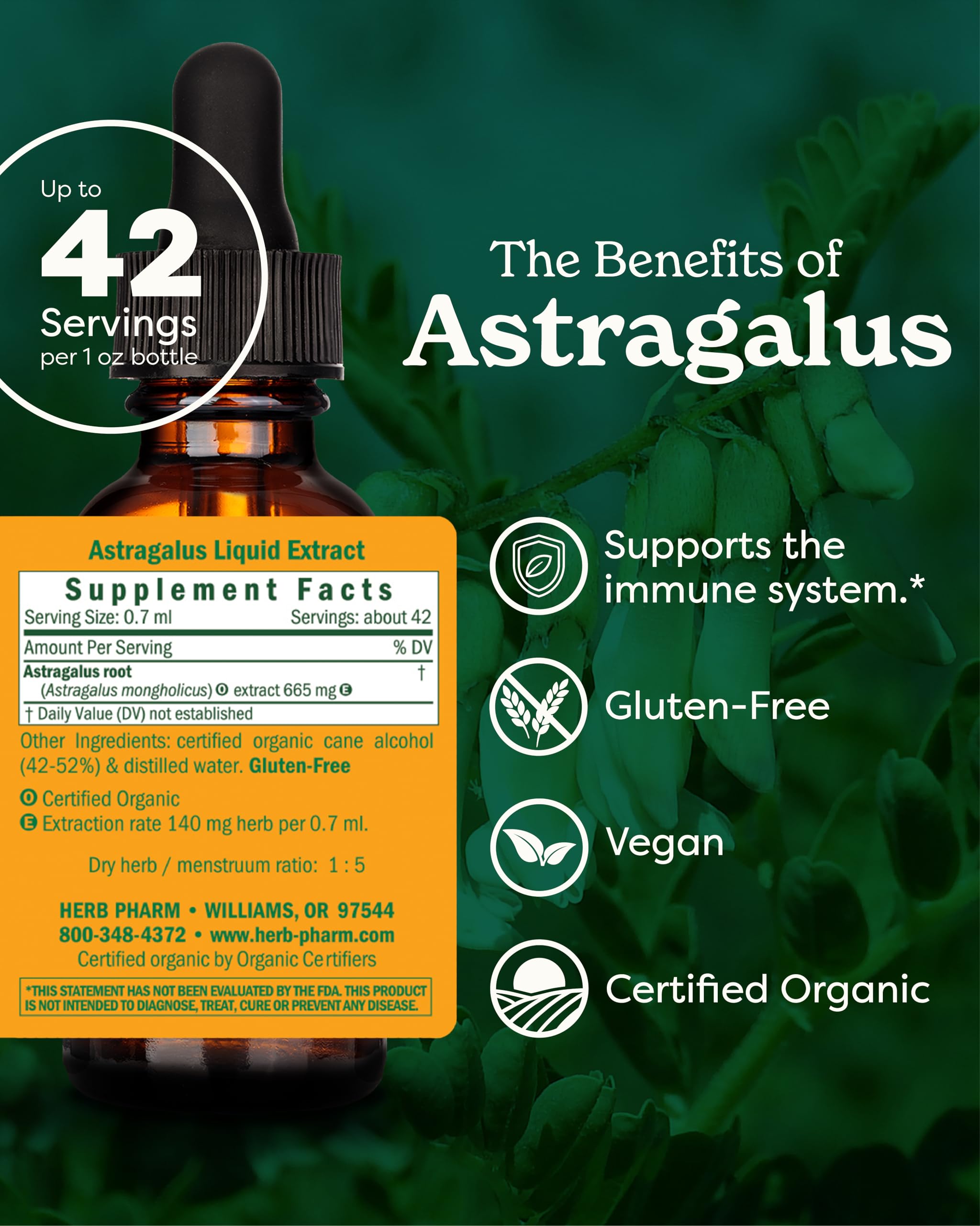 Foto 4 pulgar | Extracto Líquido Herb Pharm Astragalus 30 Ml Para Apoyar El Sistema Inmunitario - Venta Internacional.