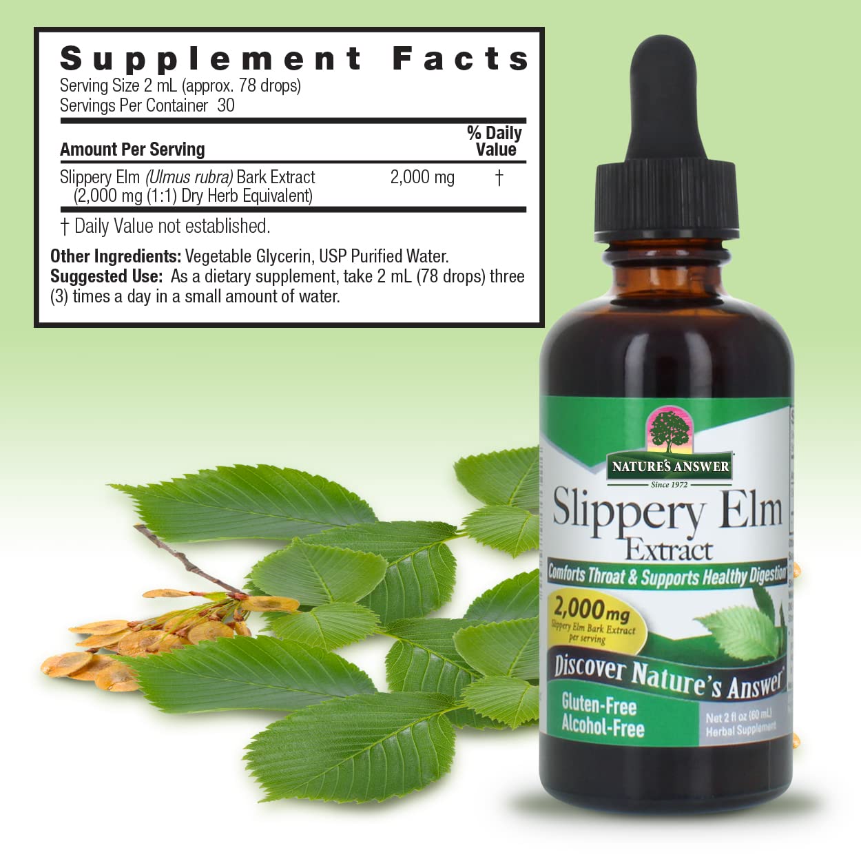 Foto 4 pulgar | Suplemento Nature's Answer Con Extracto De Olmo, 60 Ml, Sin Alcohol - Venta Internacional.