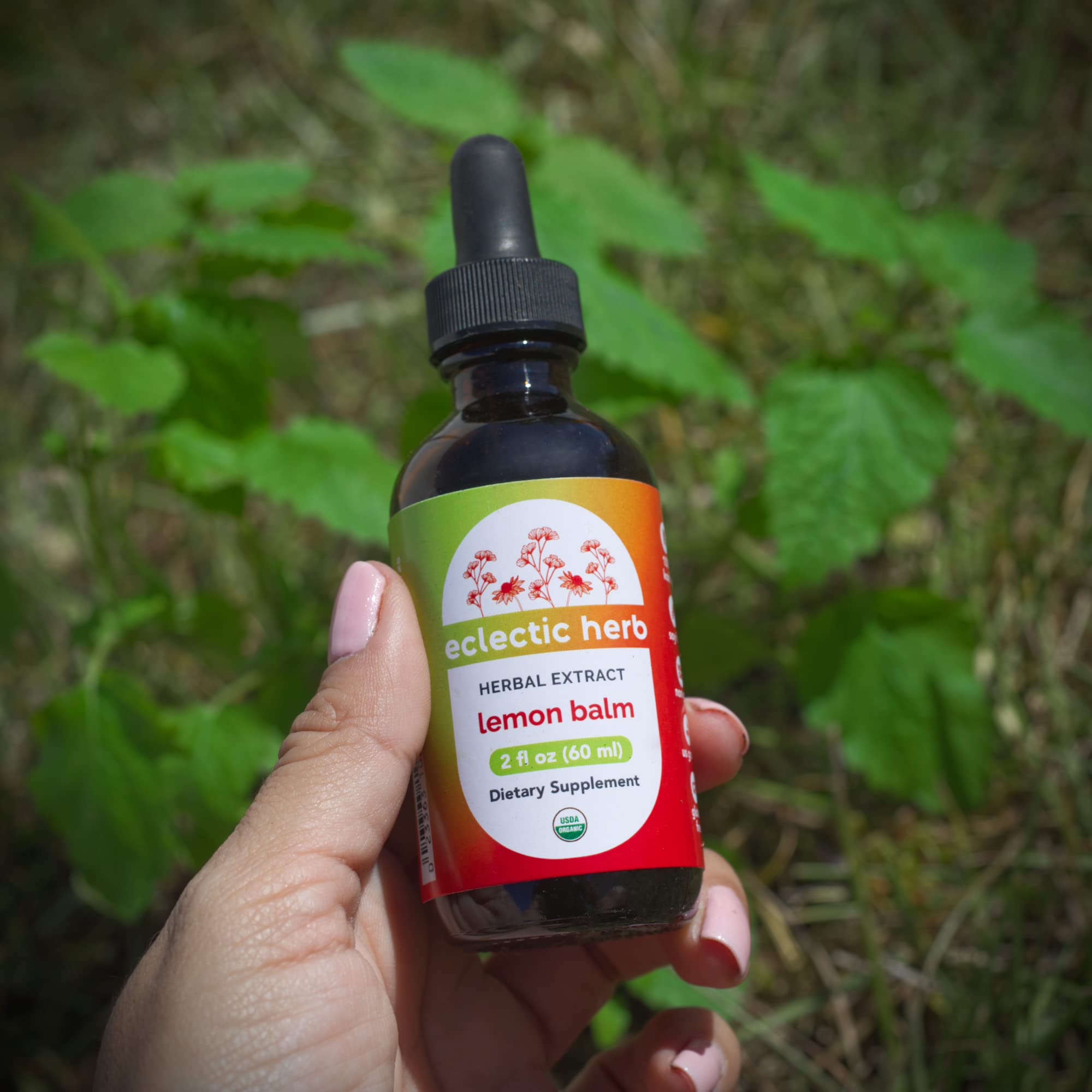 Foto 6 pulgar | Bálsamo De Limón Orgánico Con Extracto De Hierbas Eclécticas, 60 Ml - Venta Internacional.