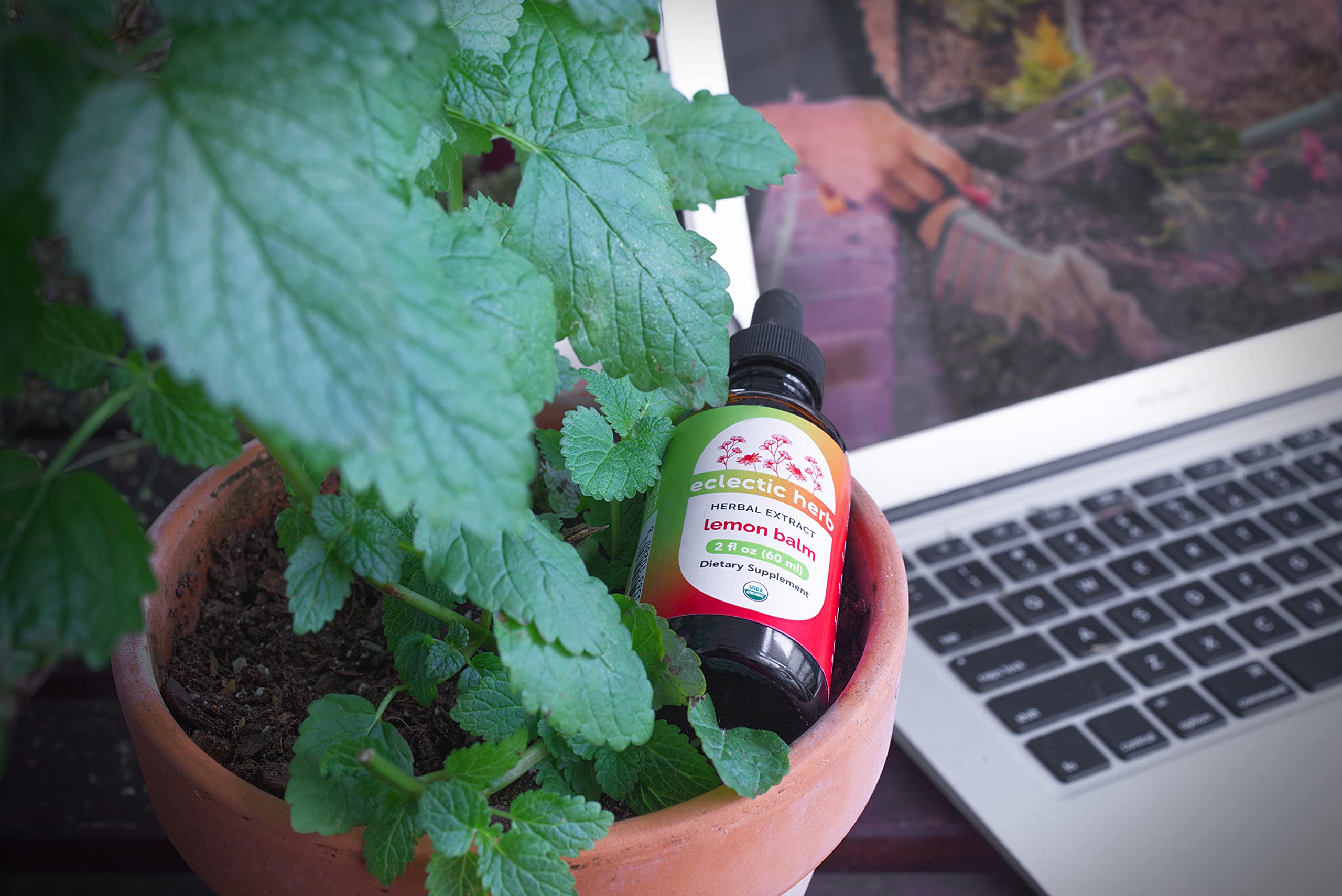 Foto 6 | Bálsamo De Limón Orgánico Con Extracto De Hierbas Eclécticas, 60 Ml - Venta Internacional.