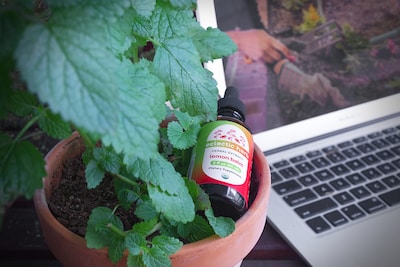 Foto 6 | Bálsamo De Limón Orgánico Con Extracto De Hierbas Eclécticas, 60 Ml - Venta Internacional.