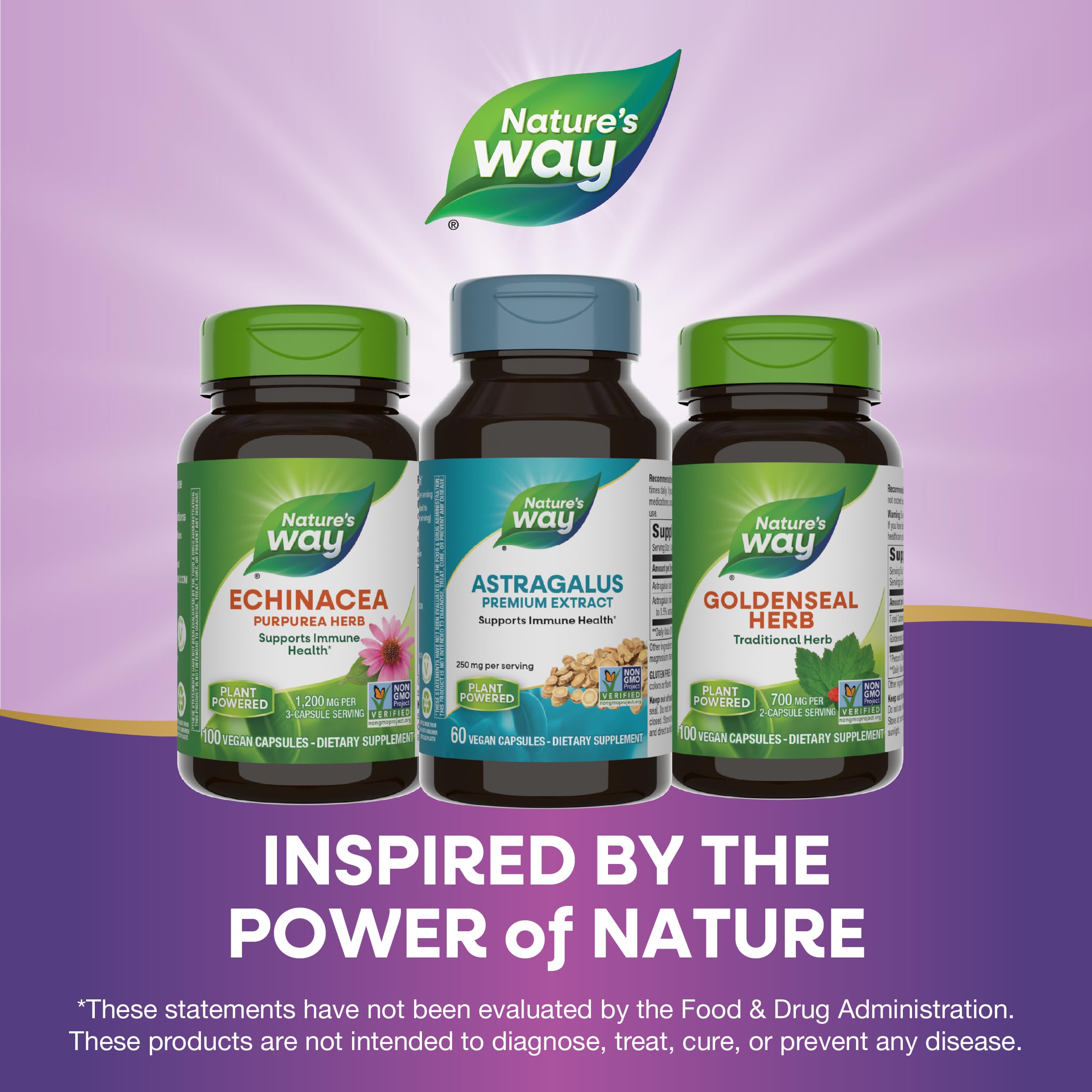 Foto 8 pulgar | Suplemento De Extracto Premium De Astrágalo De Nature's Way, 250 Mg - Venta Internacional.
