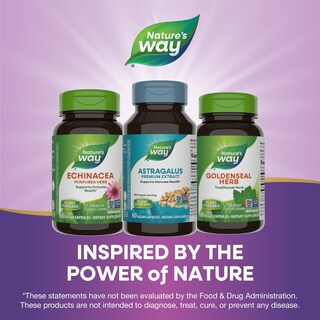 Foto 7 | Suplemento De Extracto Premium De Astrágalo De Nature's Way, 250 Mg - Venta Internacional.
