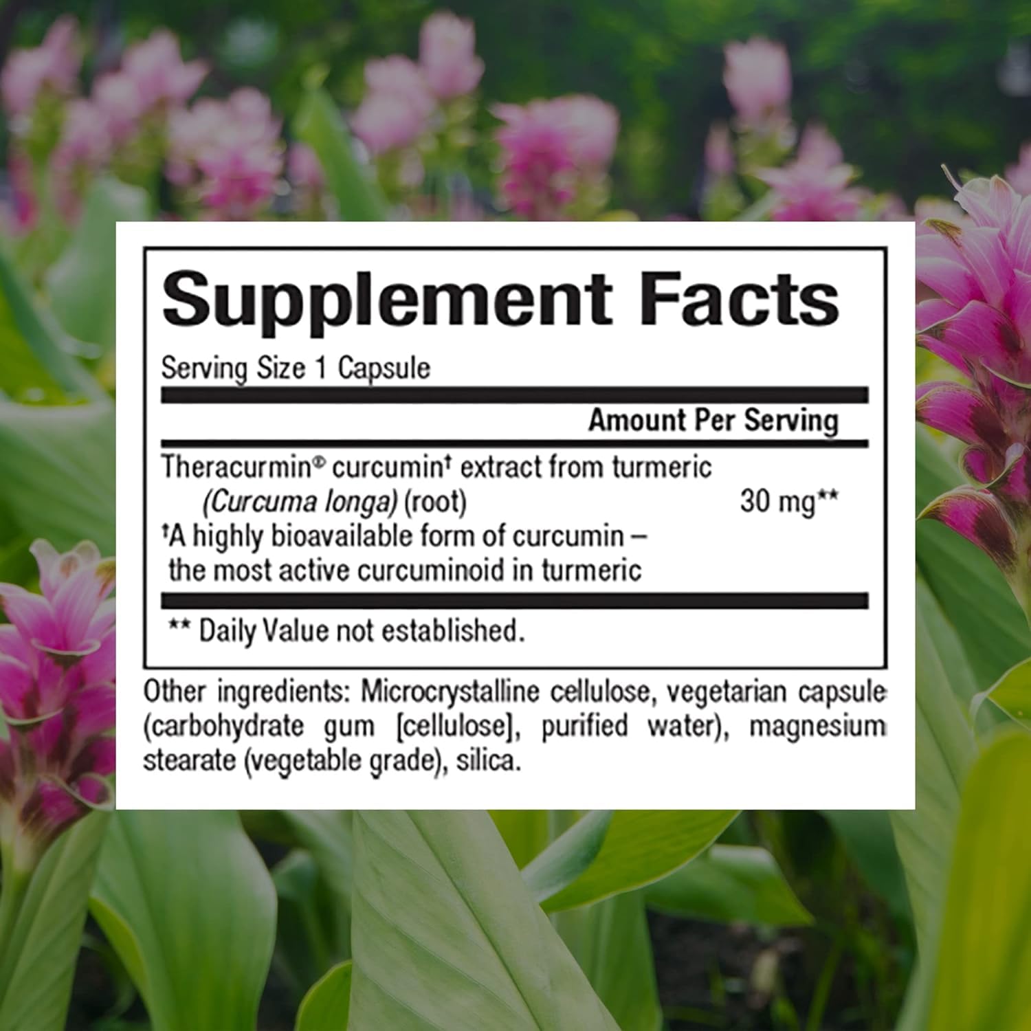 Foto 3 pulgar | Complemente Los Factores Naturales Con Teracurmina Rica En Curcumina 30 Mg - Venta Internacional.