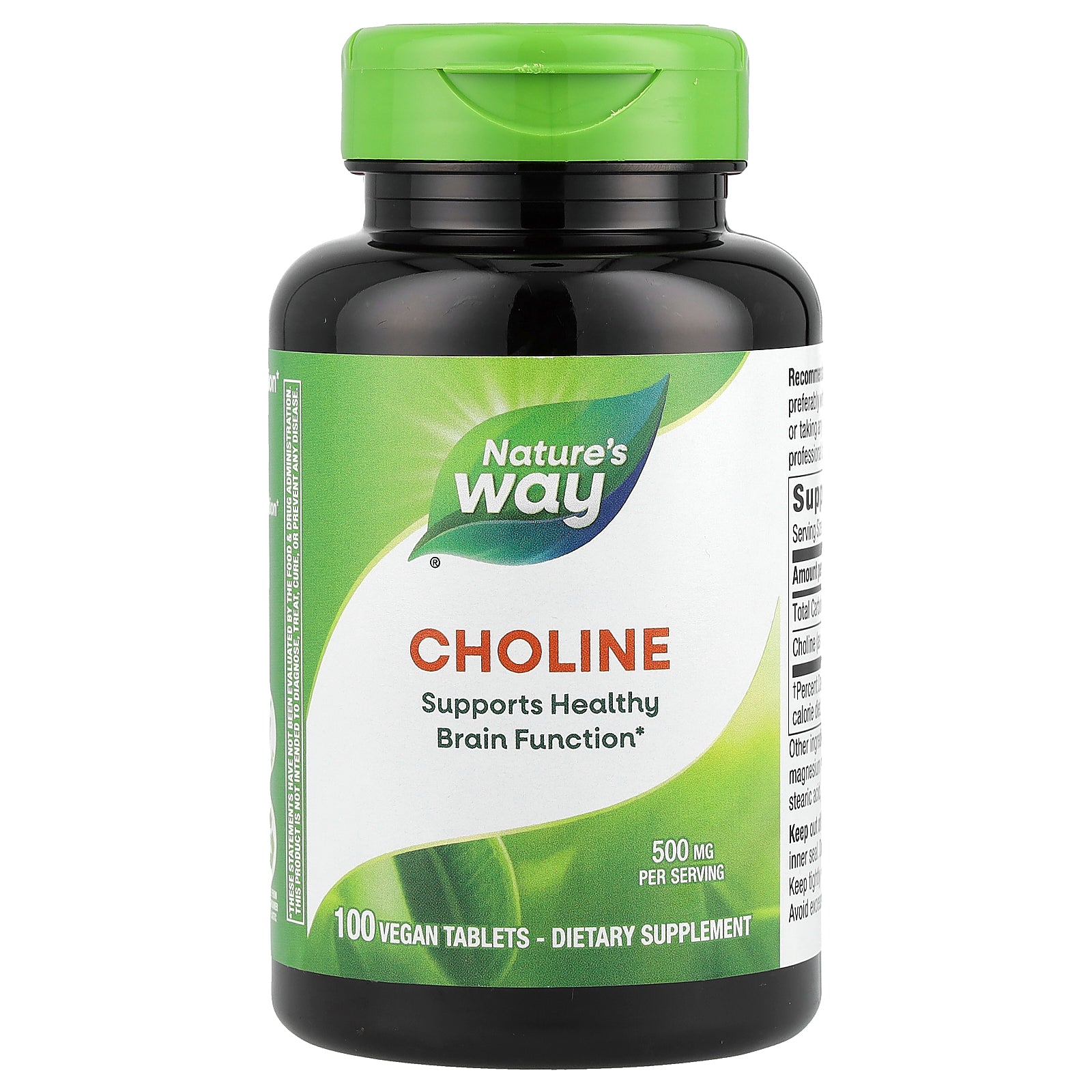 Foto 1 | Suplemento De Colina Nature's Way 500 Mg 100 Tabletas Veganas - Venta Internacional.