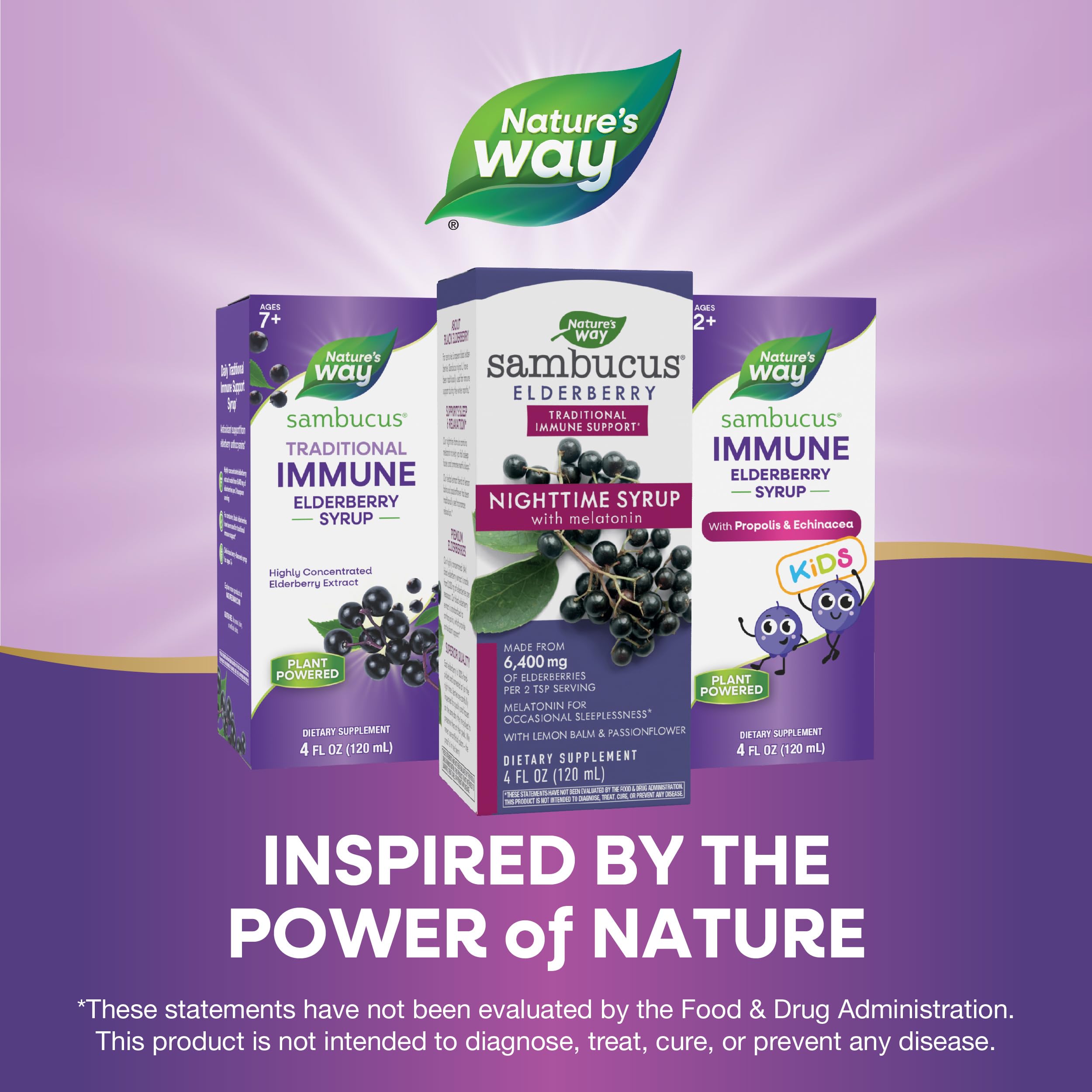 Foto 7 pulgar | Sirope Nature's Way Sambucus Nighttime Saúco Con Melatonina 120 Ml - Venta Internacional.
