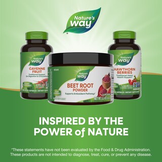Foto 7 | Suplemento Nature's Way En Polvo De Raíz De Remolacha, 150 Ml - Venta Internacional.