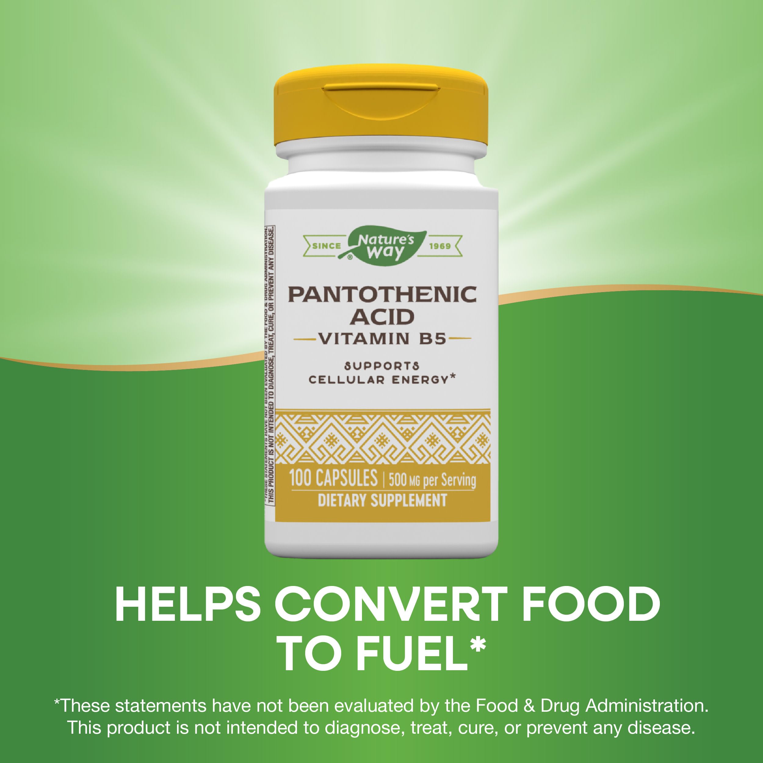 Foto 3 | Suplemento De Ácido Pantoténico Nature's Way 500 Mg 100 Cápsulas - Venta Internacional.
