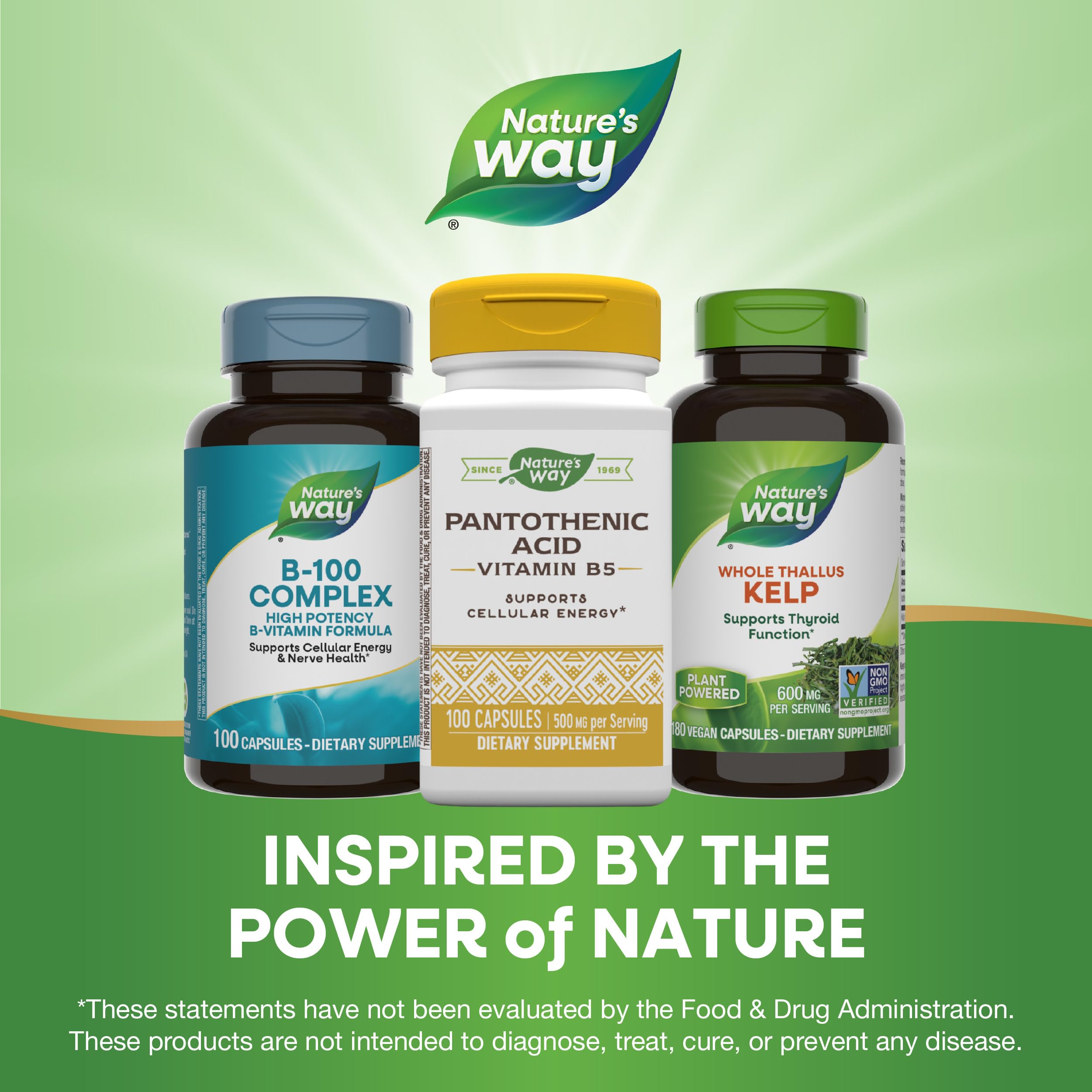 Foto 7 pulgar | Suplemento De Ácido Pantoténico Nature's Way 500 Mg 100 Cápsulas - Venta Internacional.