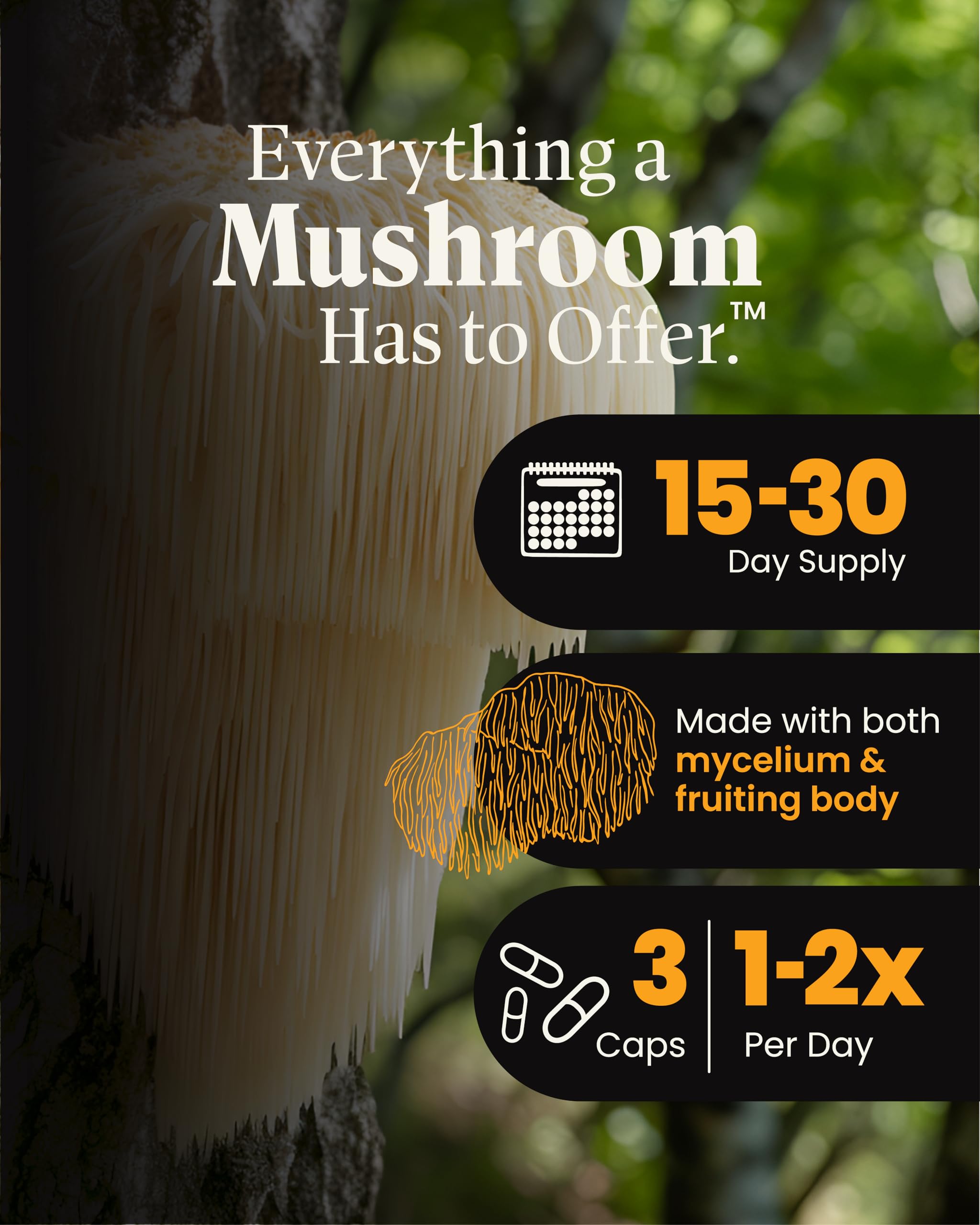 Foto 3 | Suplemento Herb Pharm Mushroom Wellness Lion's Mane Con Reishi - Venta Internacional.