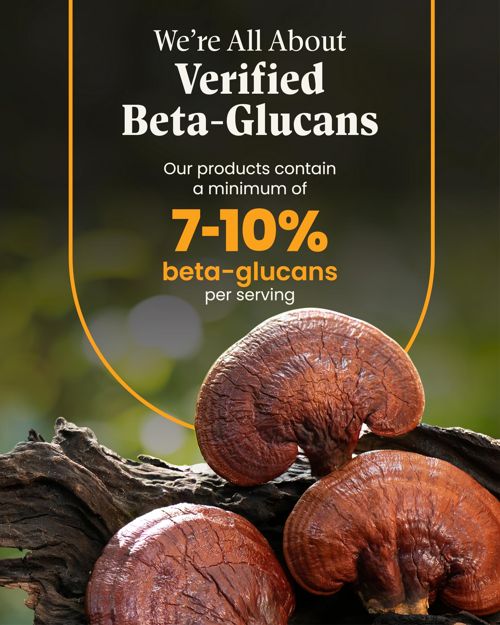 Foto 6 pulgar | Suplemento Herb Pharm Mushroom Wellness Lion's Mane Con Reishi - Venta Internacional.