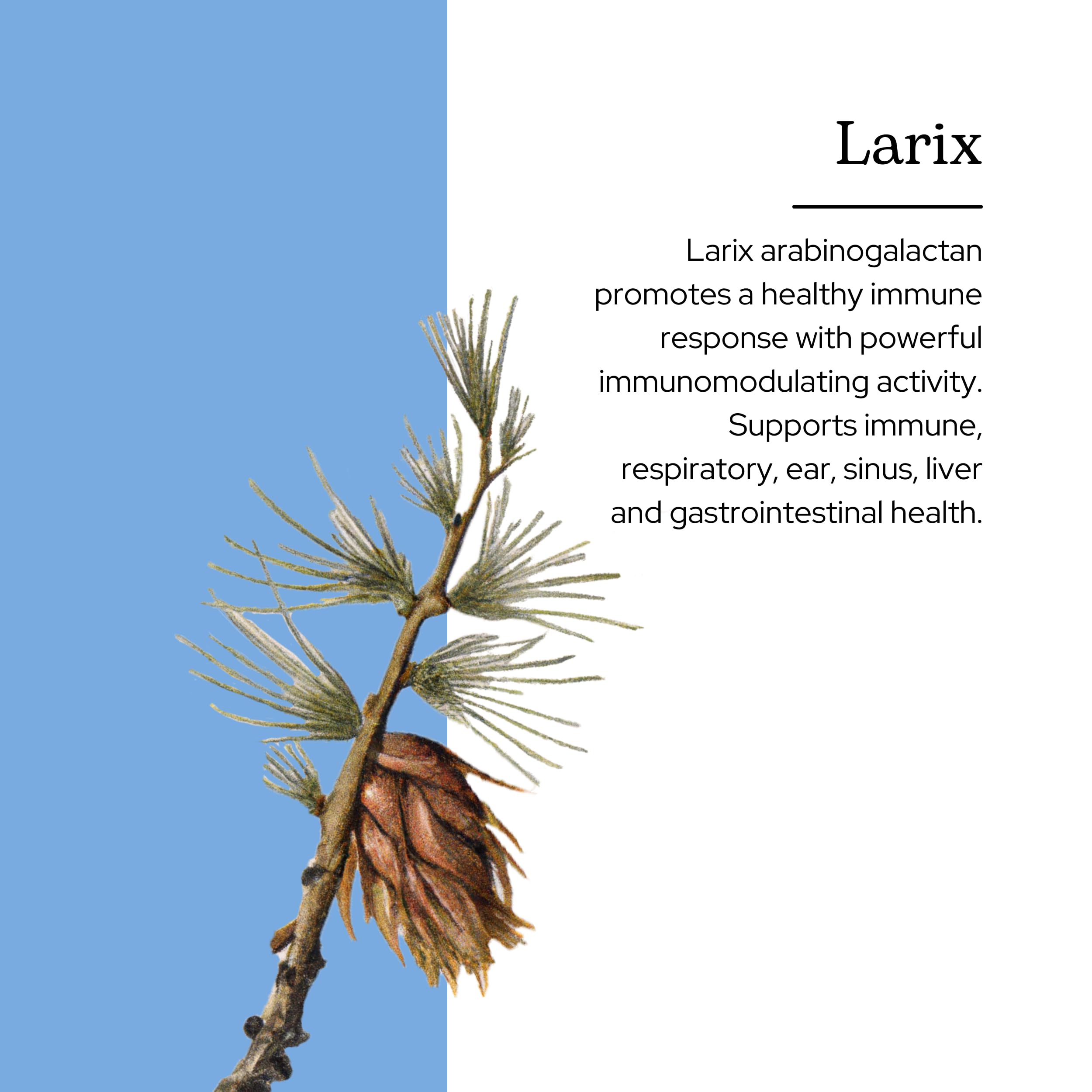Foto 4 | Suplemento Eclectic Institute Larix Immune Support 355 Ml - Venta Internacional.