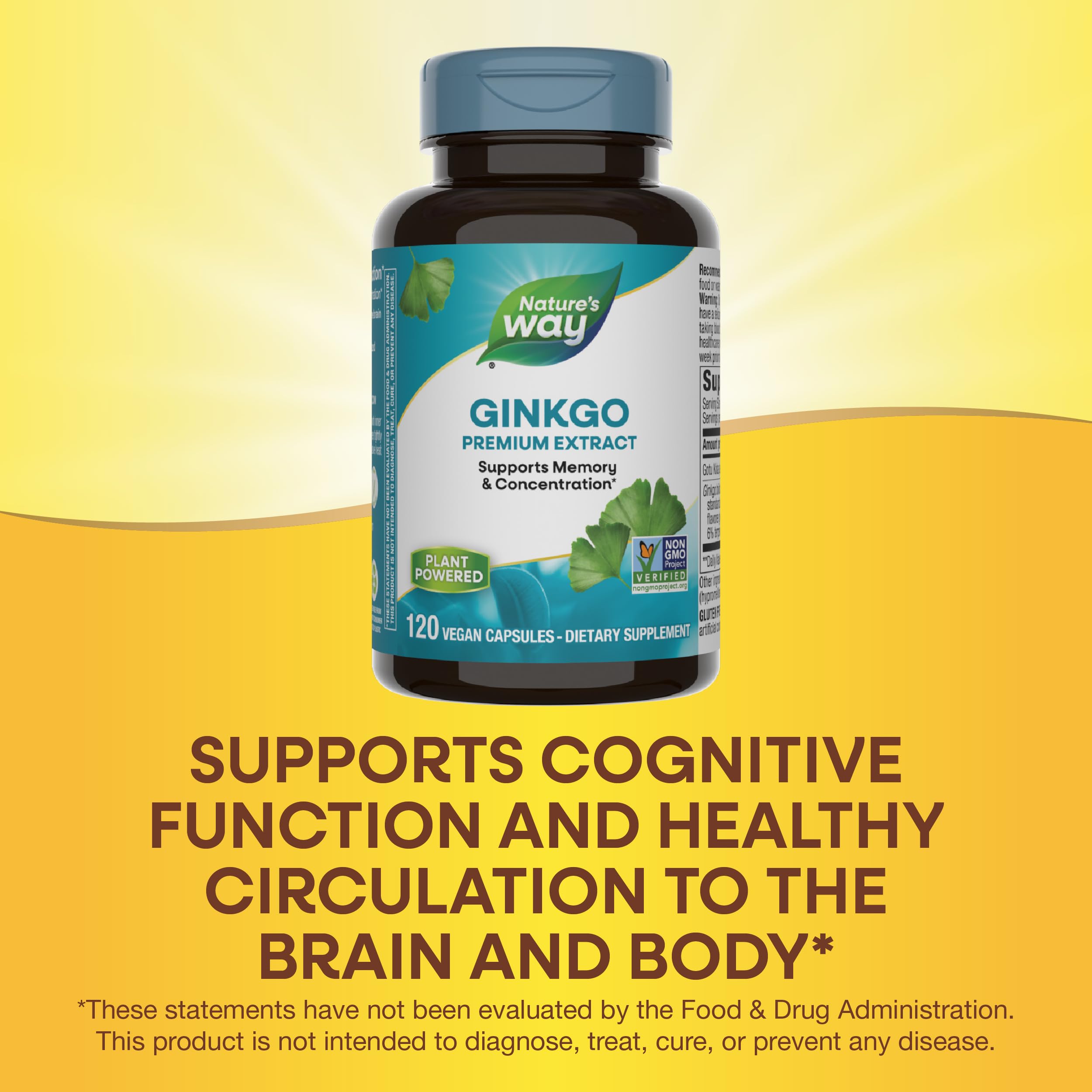 Foto 5 pulgar | Suplemento De Extracto Premium De Ginkgo De Nature's Way 120 Cápsulas - Venta Internacional.