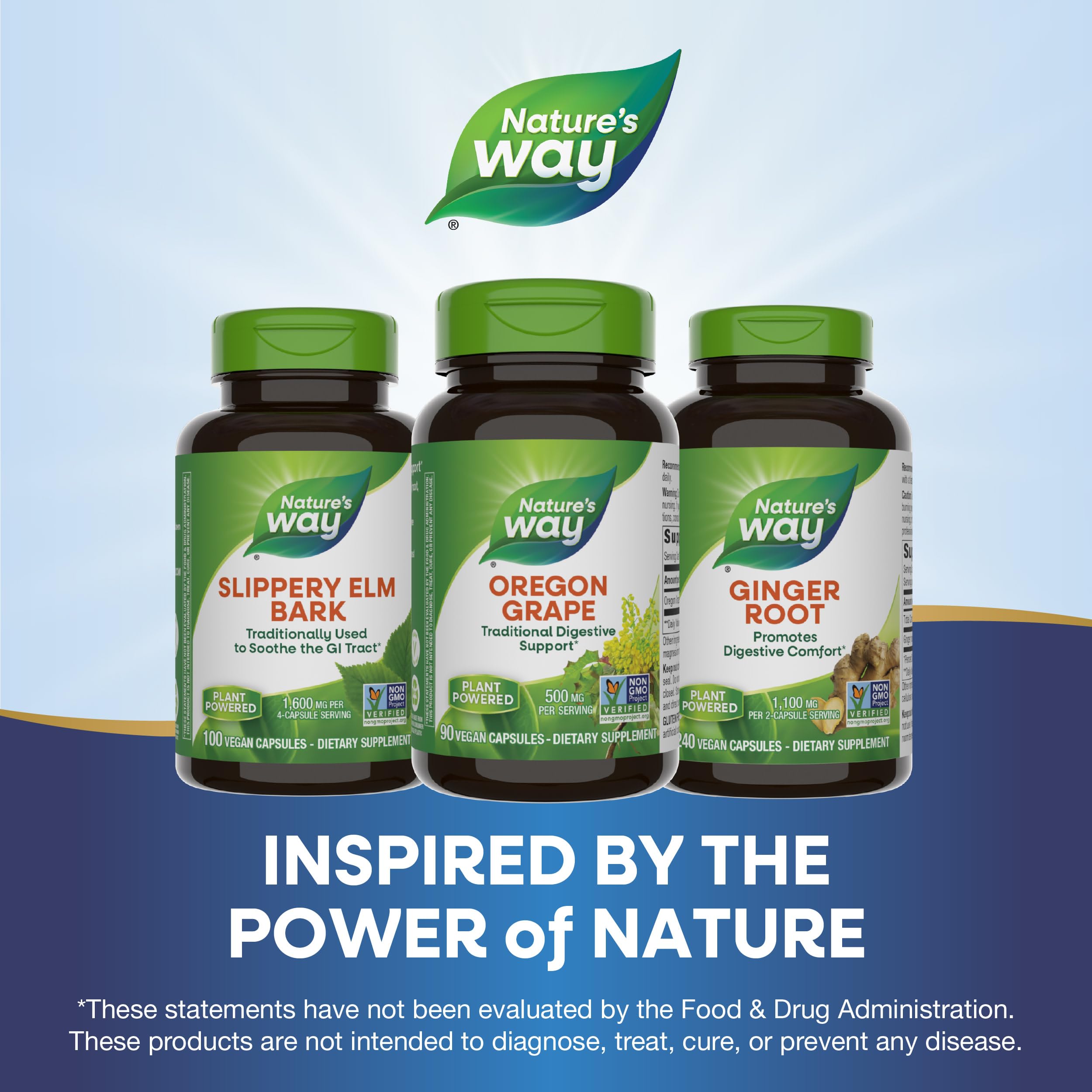 Foto 7 | Suplemento Nature's Way Oregon Grape 90 Cápsulas Veganas - Venta Internacional.