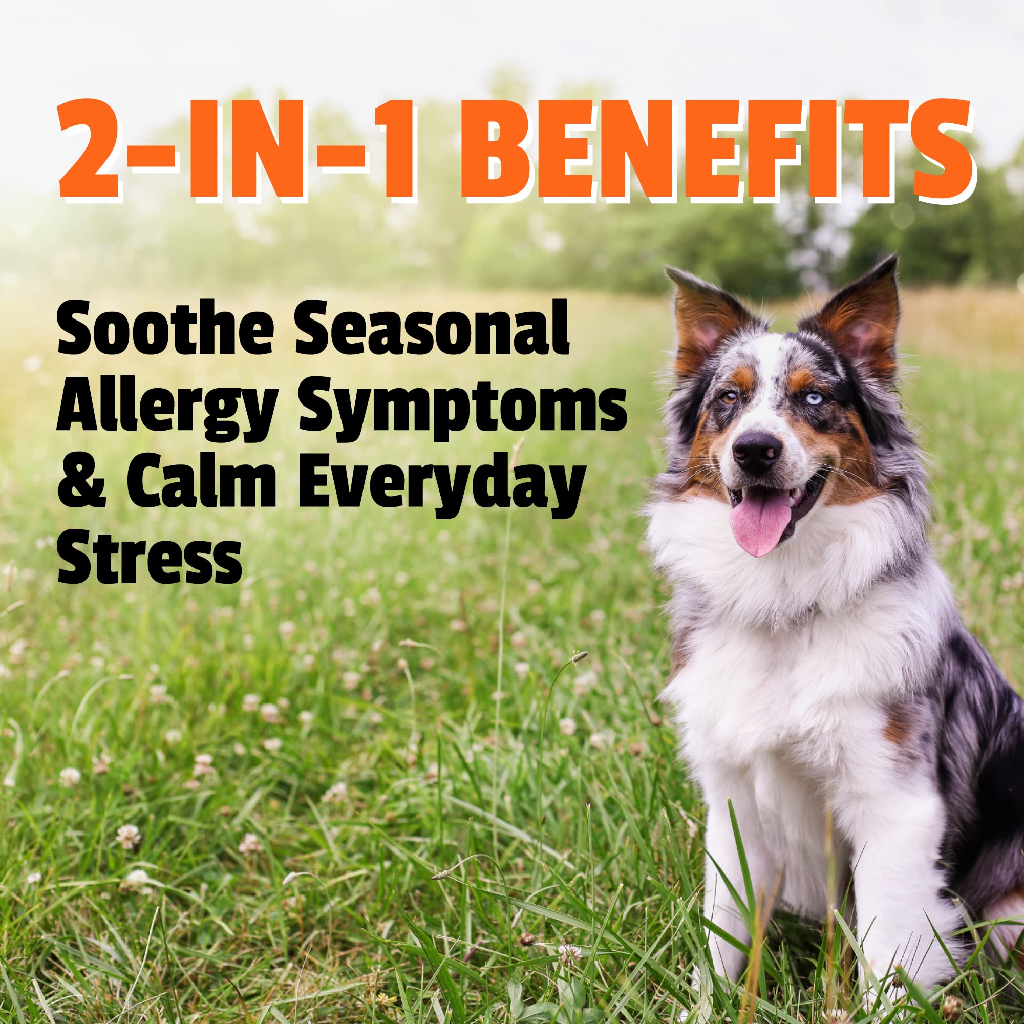 Foto 2 | Suplemento Calmante Pet Naturals Allergy Plus Para Perros, 60 Unidades - Venta Internacional.