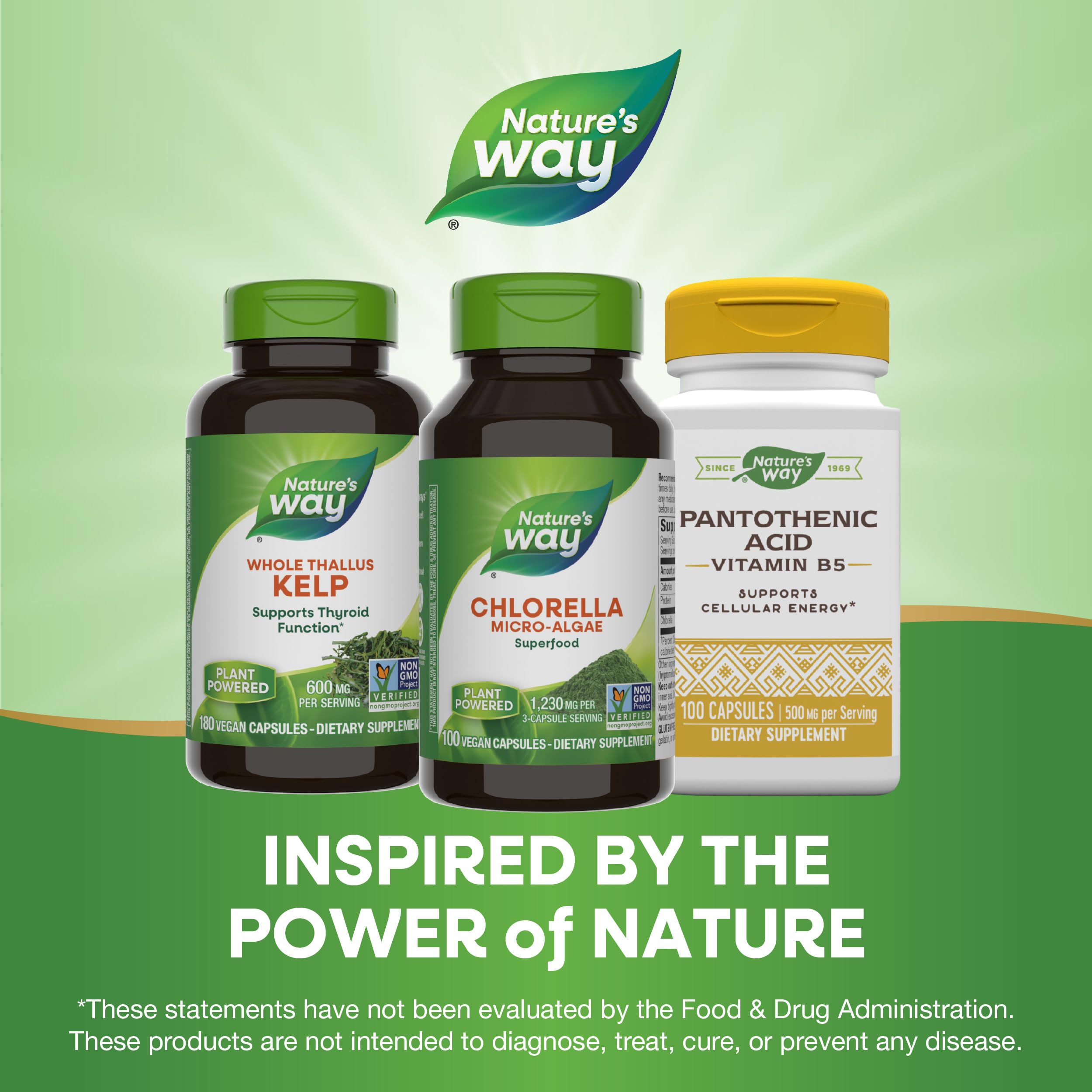 Foto 7 | Suplemento De Microalgas Chlorella De Nature's Way, 100 Cápsulas - Venta Internacional.