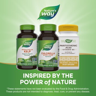 Foto 7 | Suplemento De Microalgas Chlorella De Nature's Way, 100 Cápsulas - Venta Internacional.