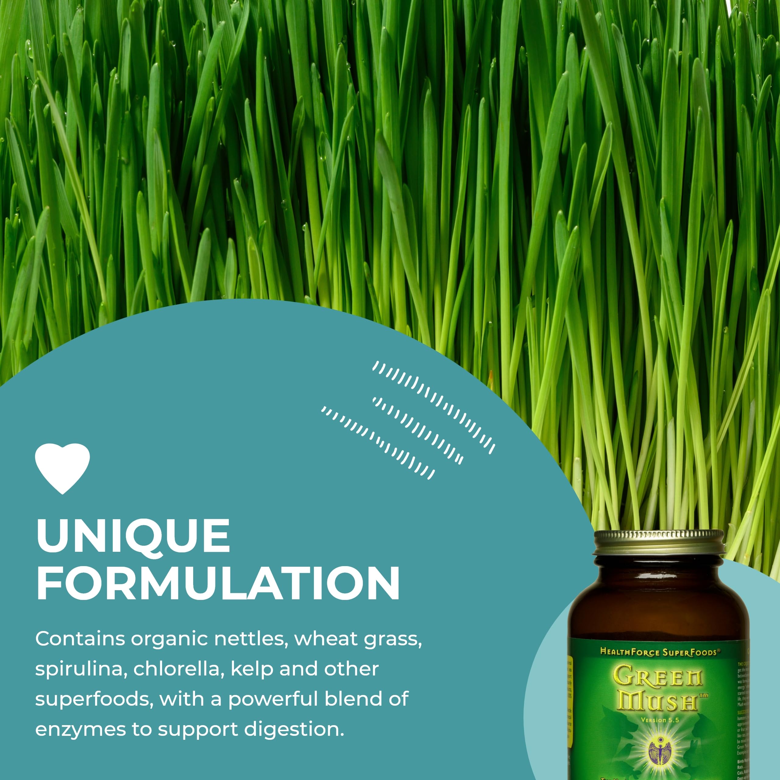 Foto 5 | Suplemento Healthforce Superfoods Green Push 300 Ml - Venta Internacional.