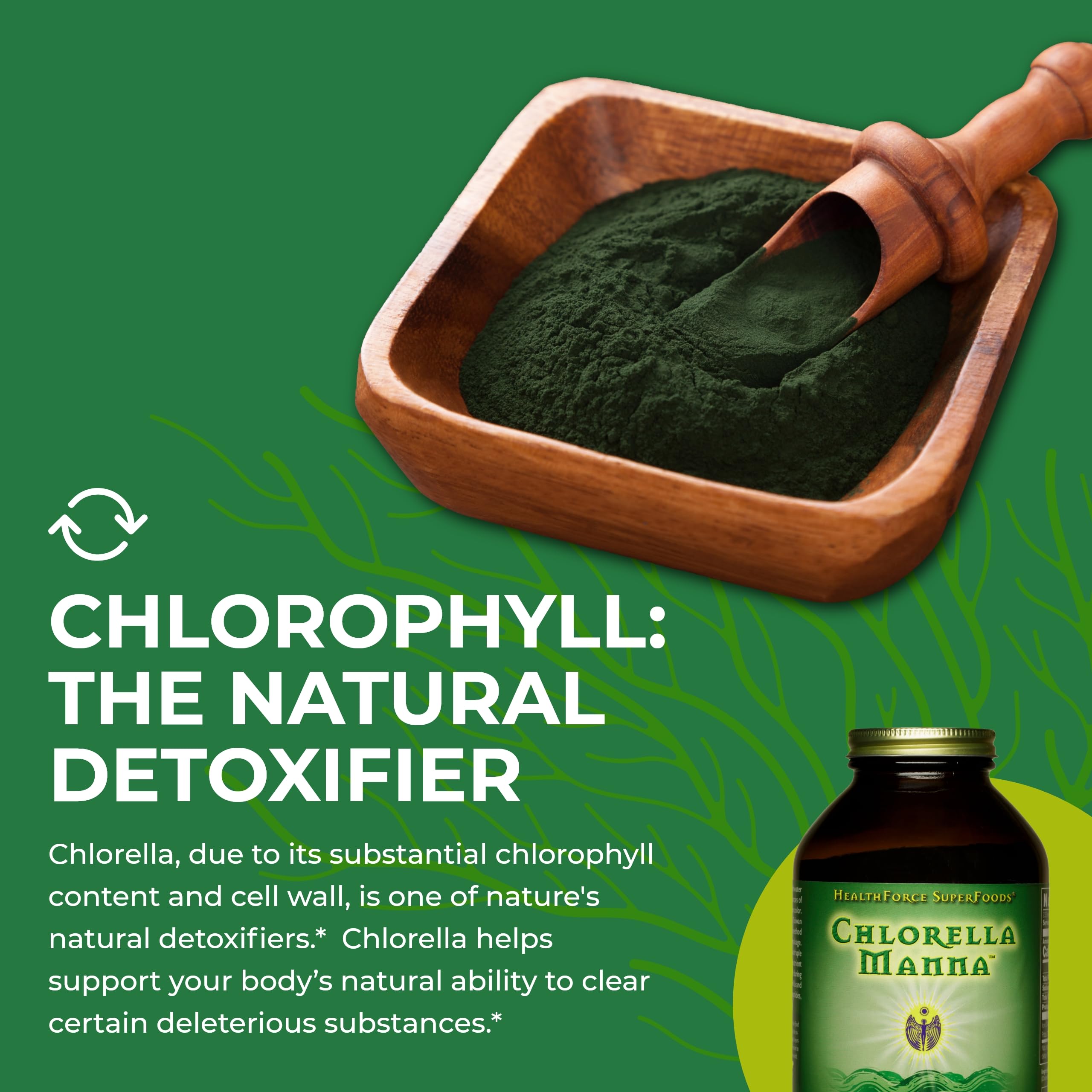 Foto 6 | Suplemento Healthforce Superfoods Chlorella Manna 350g - Venta Internacional.