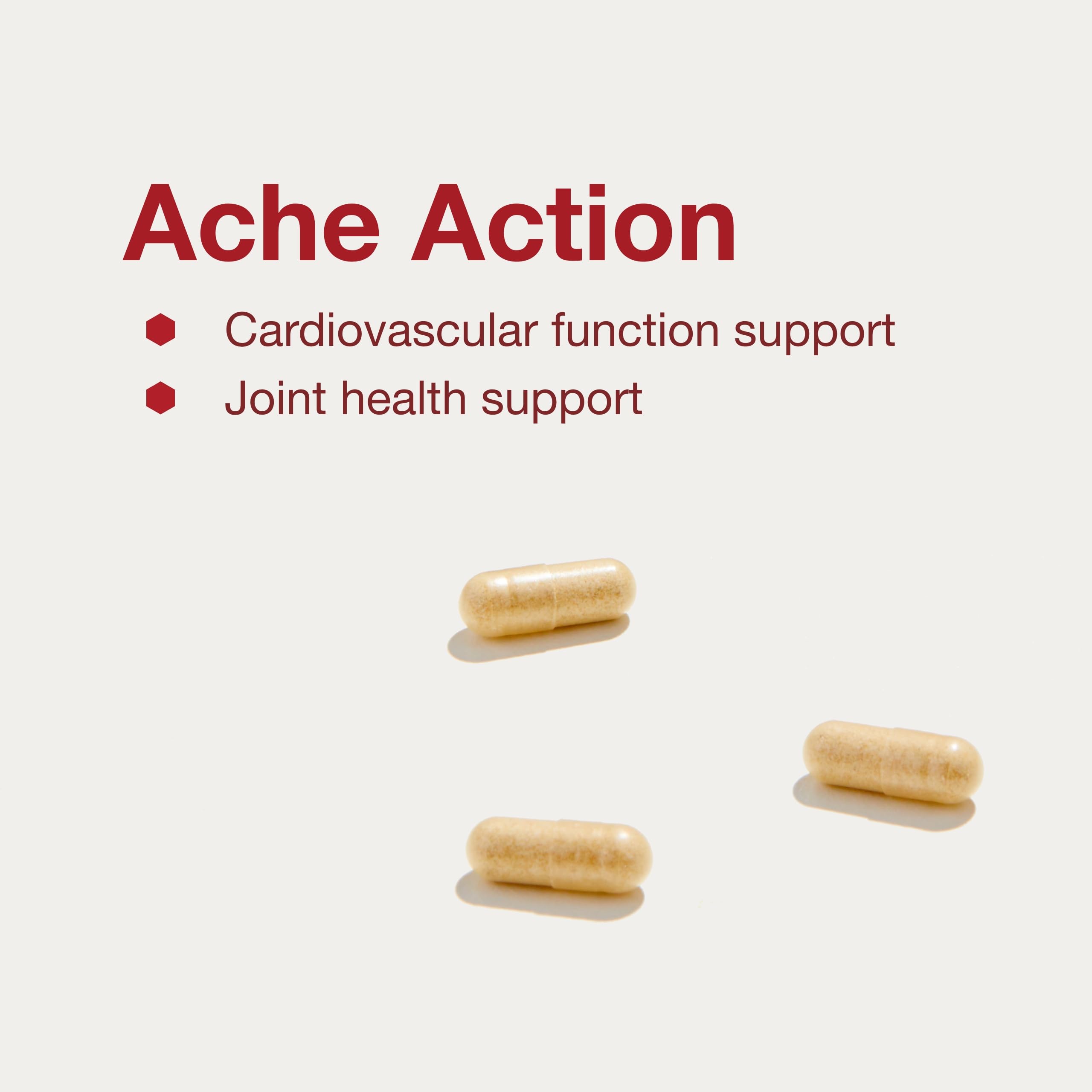Foto 4 | Suplemento Articular Protocol For Life Balance Ache Action 120 Cápsulas - Venta Internacional.