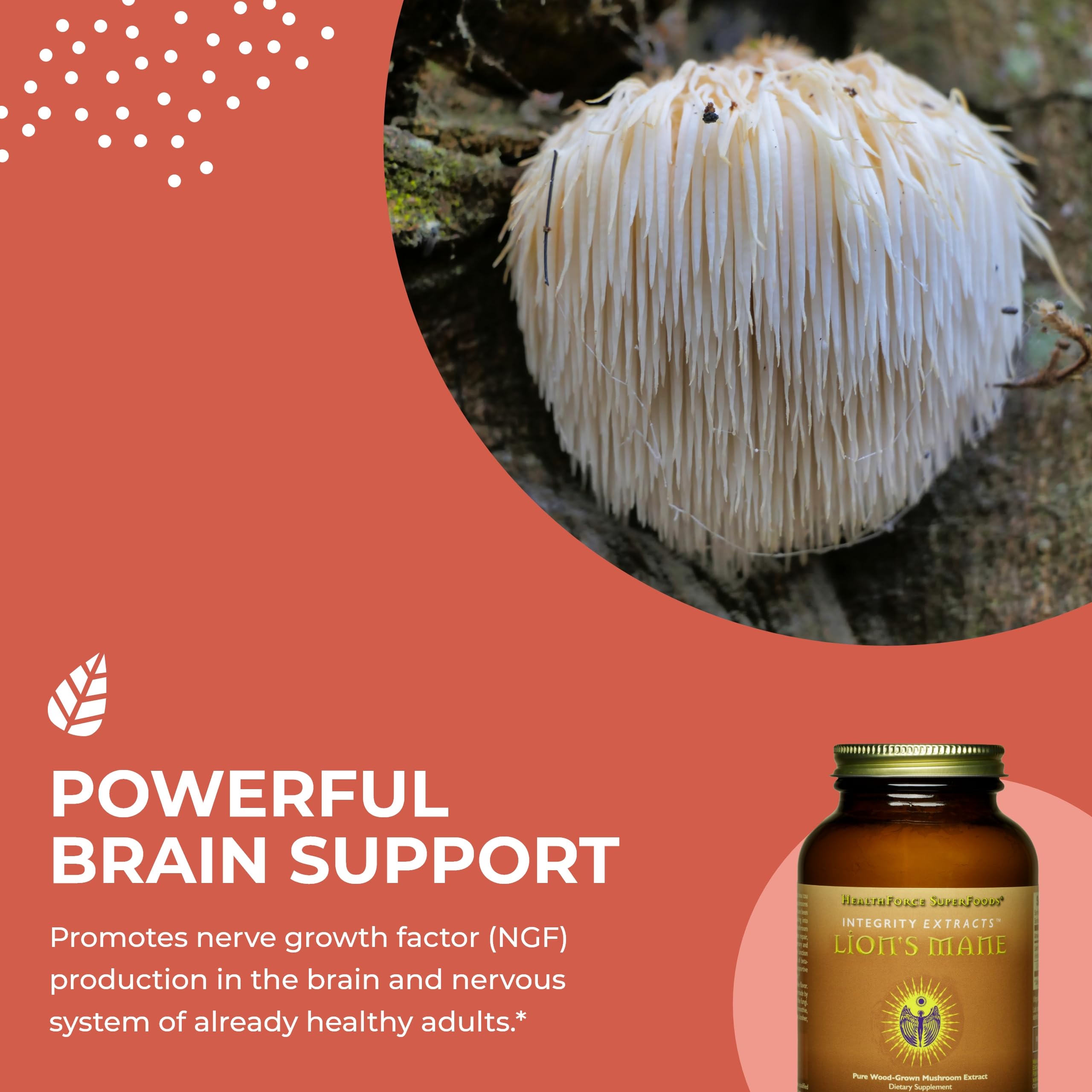 Foto 5 pulgar | Suplemento Healthforce Superfoods Integrity Extracts Lion's Mane Powder 150 G - Venta Internacional.