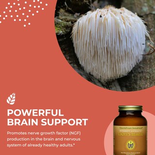 Foto 4 | Suplemento Healthforce Superfoods Integrity Extracts Lion's Mane Powder 150 G - Venta Internacional.
