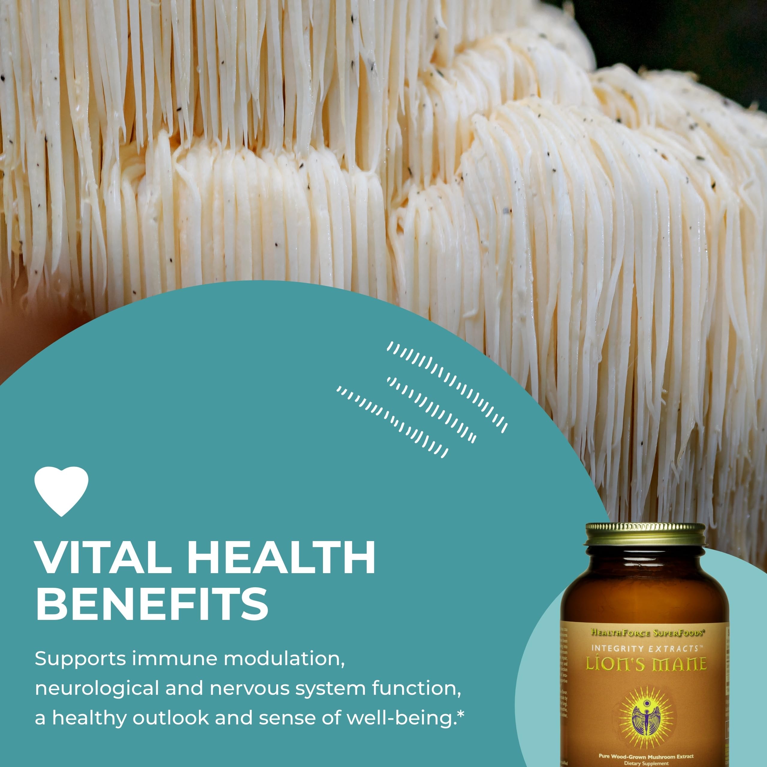 Foto 6 pulgar | Suplemento Healthforce Superfoods Integrity Extracts Lion's Mane Powder 150 G - Venta Internacional.