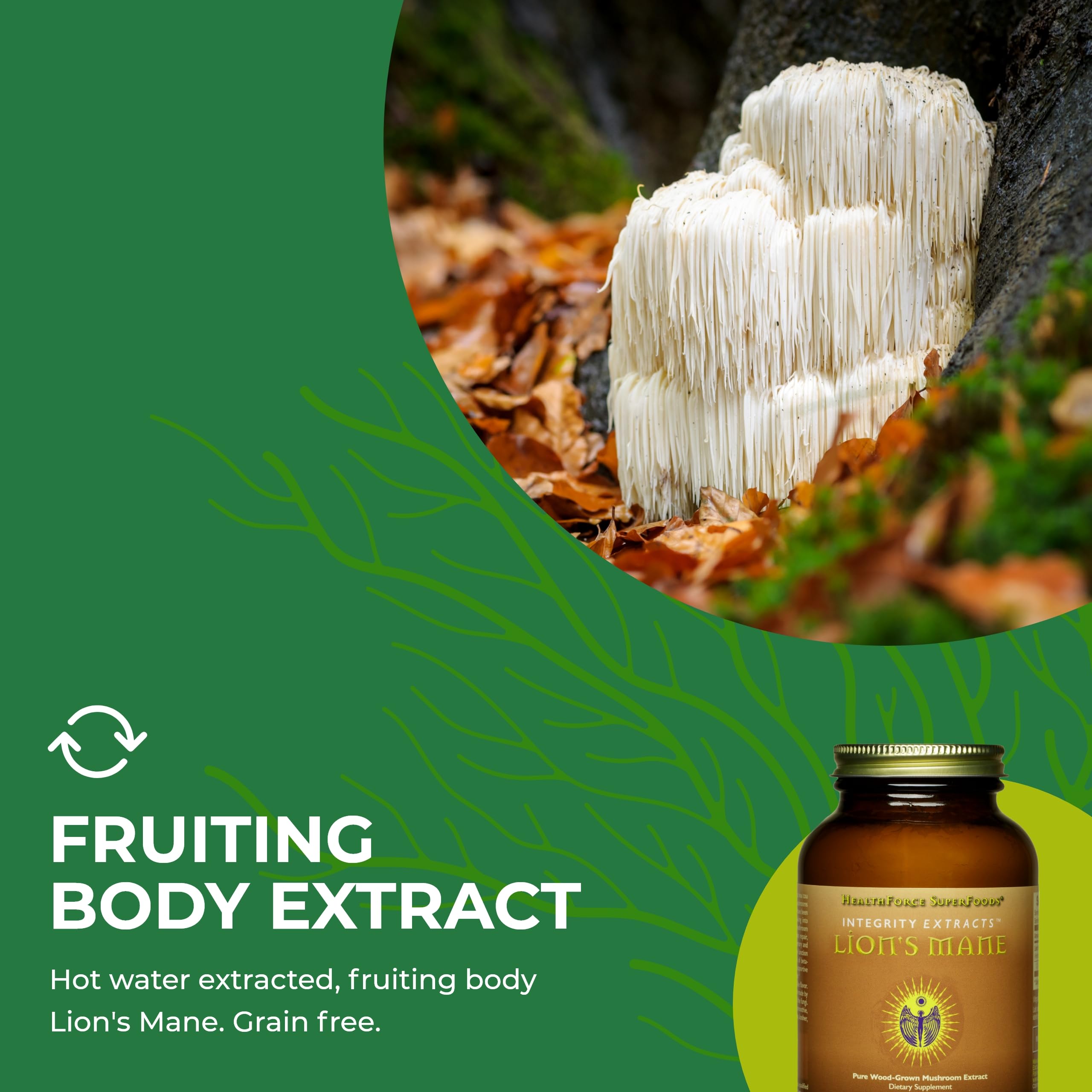 Foto 7 pulgar | Suplemento Healthforce Superfoods Integrity Extracts Lion's Mane Powder 150 G - Venta Internacional.