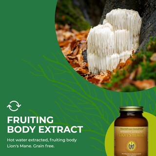 Foto 6 | Suplemento Healthforce Superfoods Integrity Extracts Lion's Mane Powder 150 G - Venta Internacional.